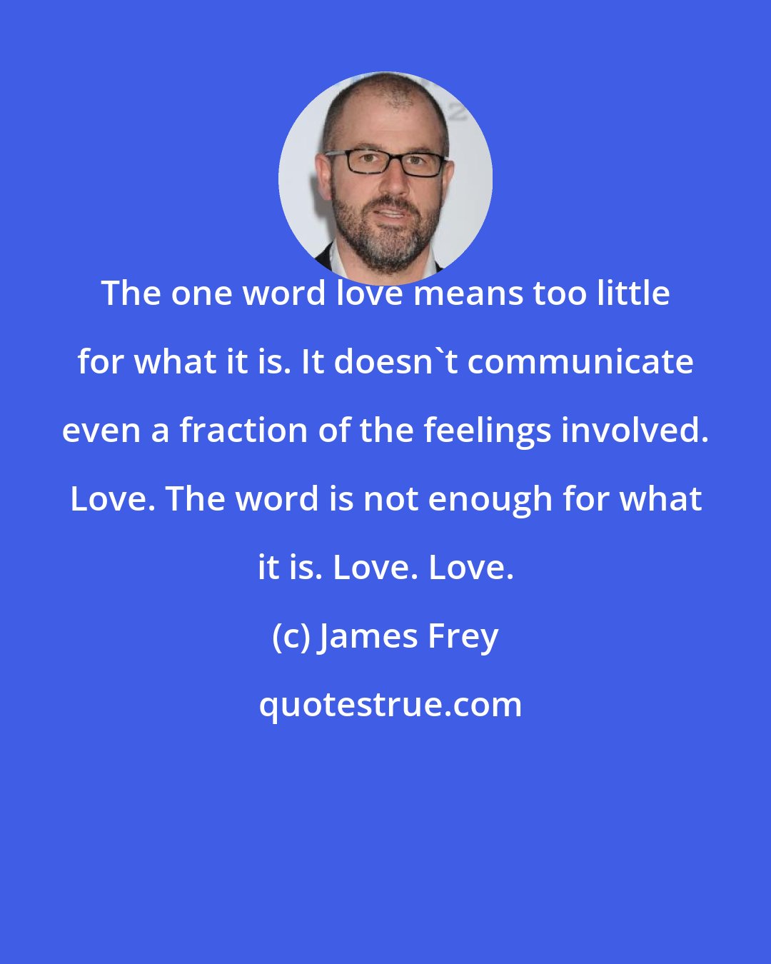 James Frey: The one word love means too little for what it is. It doesn't communicate even a fraction of the feelings involved. Love. The word is not enough for what it is. Love. Love.