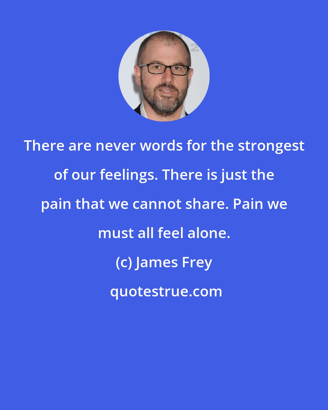 James Frey: There are never words for the strongest of our feelings. There is just the pain that we cannot share. Pain we must all feel alone.