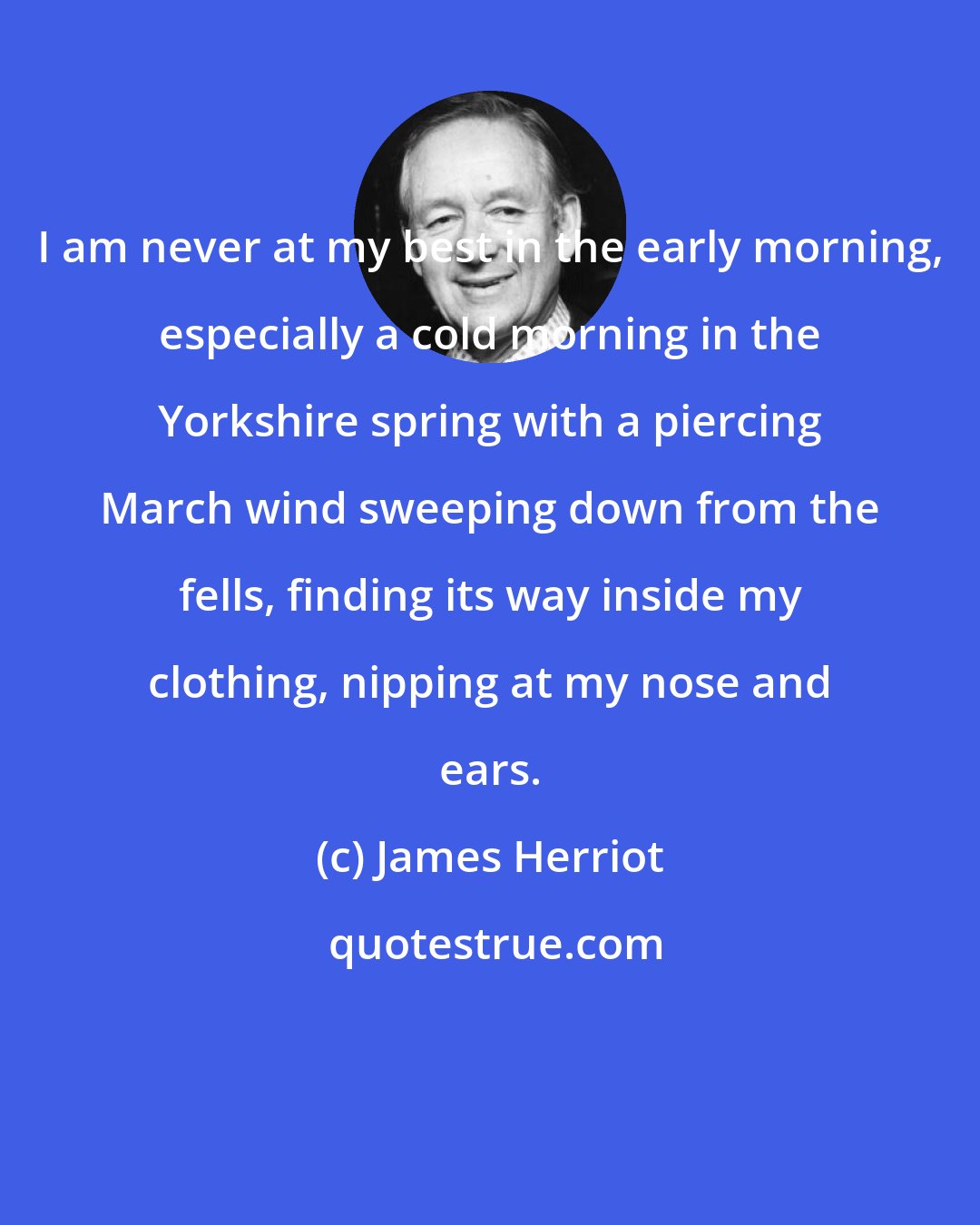 James Herriot: I am never at my best in the early morning, especially a cold morning in the Yorkshire spring with a piercing March wind sweeping down from the fells, finding its way inside my clothing, nipping at my nose and ears.