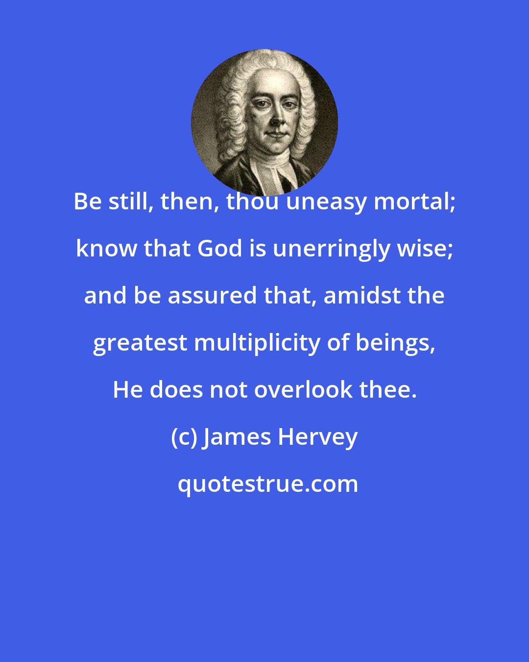 James Hervey: Be still, then, thou uneasy mortal; know that God is unerringly wise; and be assured that, amidst the greatest multiplicity of beings, He does not overlook thee.