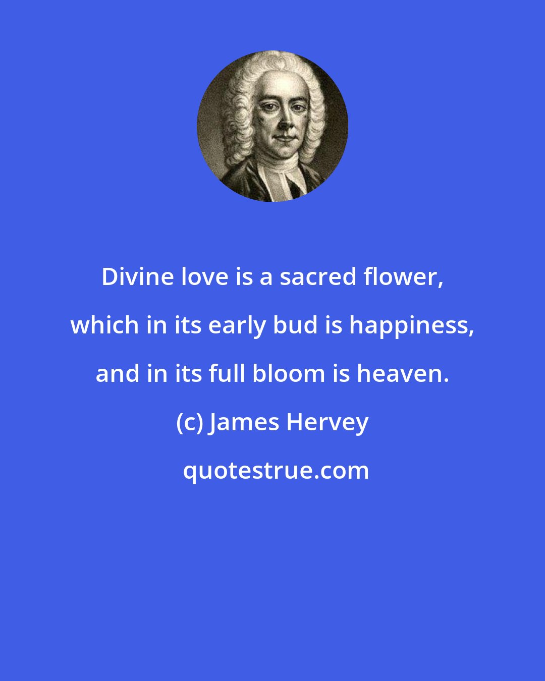 James Hervey: Divine love is a sacred flower, which in its early bud is happiness, and in its full bloom is heaven.