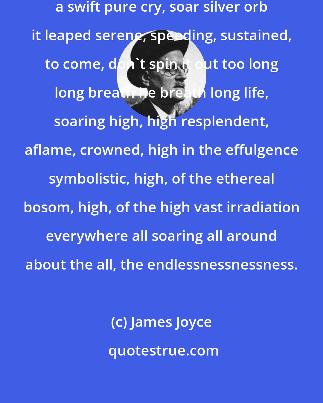 James Joyce: It soared, a bird, it held its flight, a swift pure cry, soar silver orb it leaped serene, speeding, sustained, to come, don't spin it out too long long breath he breath long life, soaring high, high resplendent, aflame, crowned, high in the effulgence symbolistic, high, of the ethereal bosom, high, of the high vast irradiation everywhere all soaring all around about the all, the endlessnessnessness.