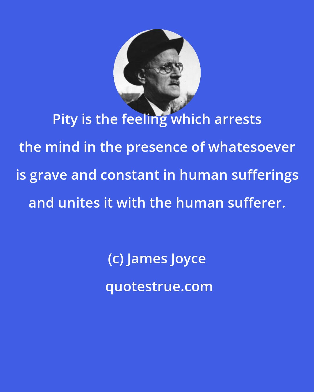 James Joyce: Pity is the feeling which arrests the mind in the presence of whatesoever is grave and constant in human sufferings and unites it with the human sufferer.