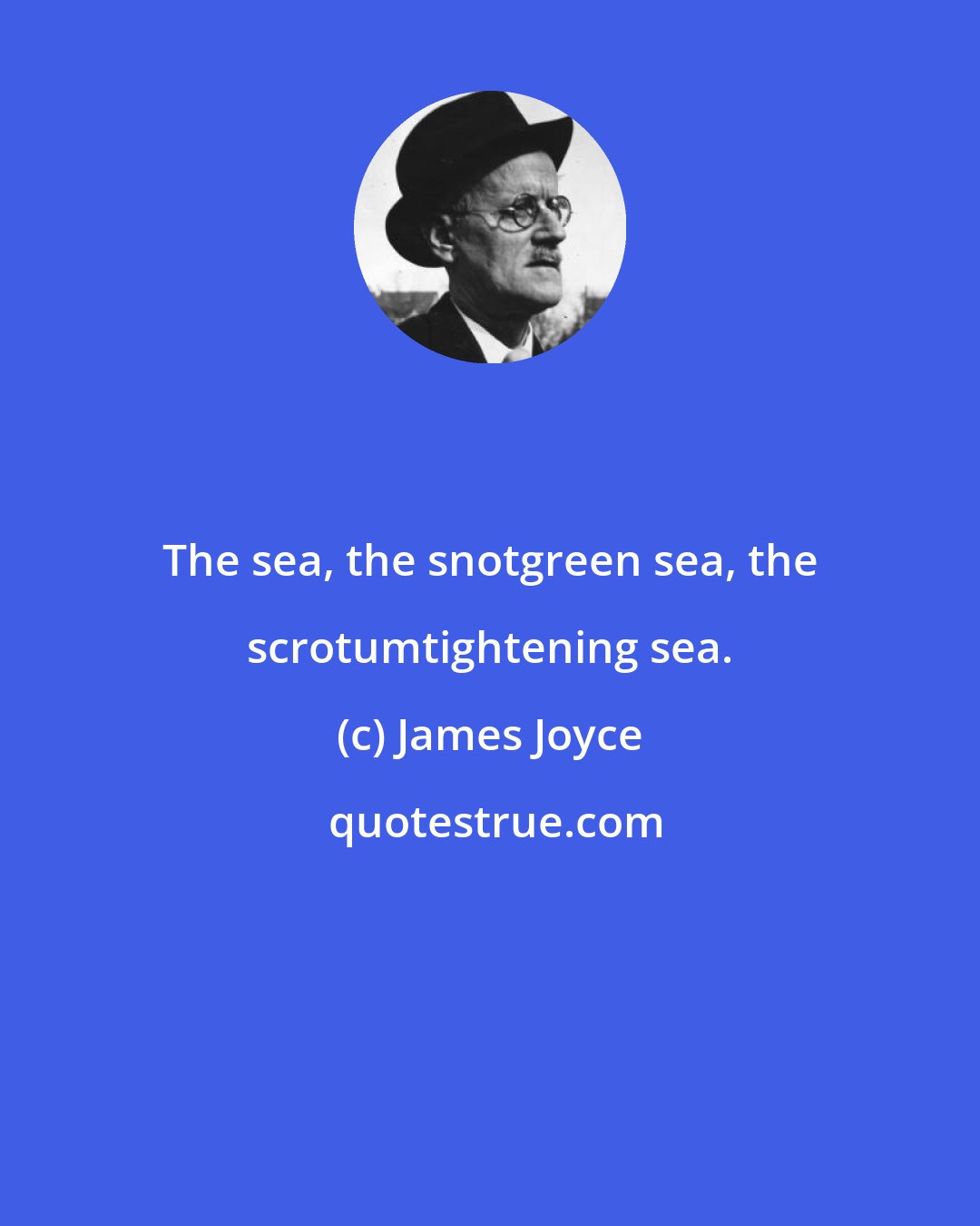 James Joyce: The sea, the snotgreen sea, the scrotumtightening sea.