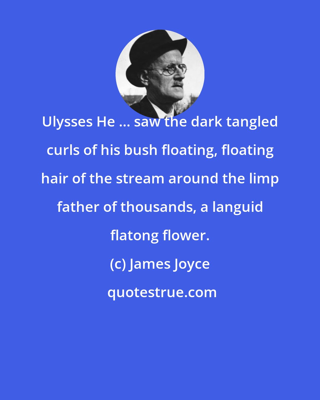 James Joyce: Ulysses He ... saw the dark tangled curls of his bush floating, floating hair of the stream around the limp father of thousands, a languid flatong flower.