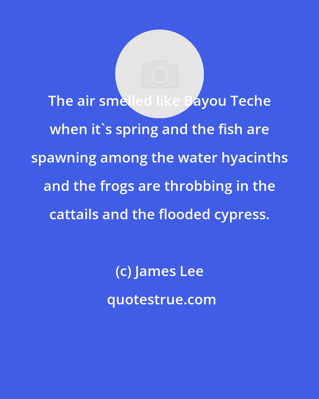 James Lee: The air smelled like Bayou Teche when it's spring and the fish are spawning among the water hyacinths and the frogs are throbbing in the cattails and the flooded cypress.