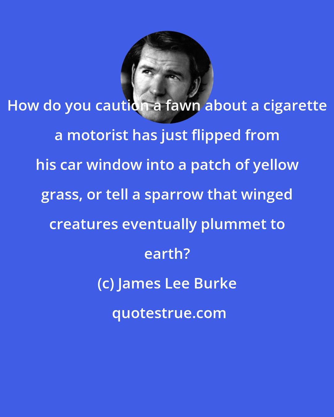James Lee Burke: How do you caution a fawn about a cigarette a motorist has just flipped from his car window into a patch of yellow grass, or tell a sparrow that winged creatures eventually plummet to earth?