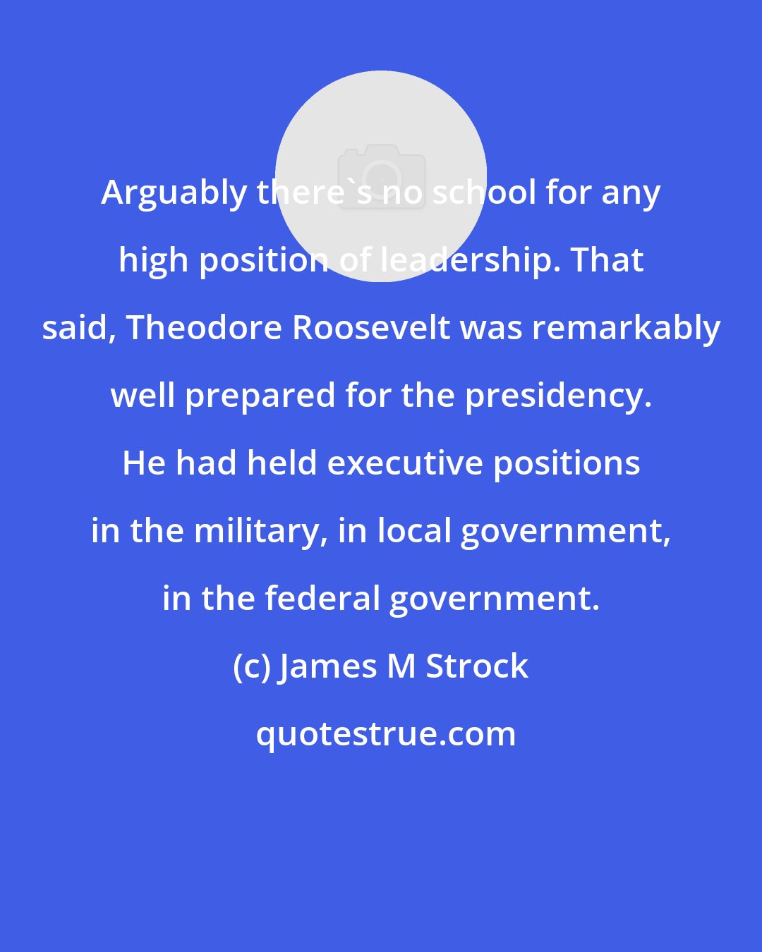 James M Strock: Arguably there's no school for any high position of leadership. That said, Theodore Roosevelt was remarkably well prepared for the presidency. He had held executive positions in the military, in local government, in the federal government.