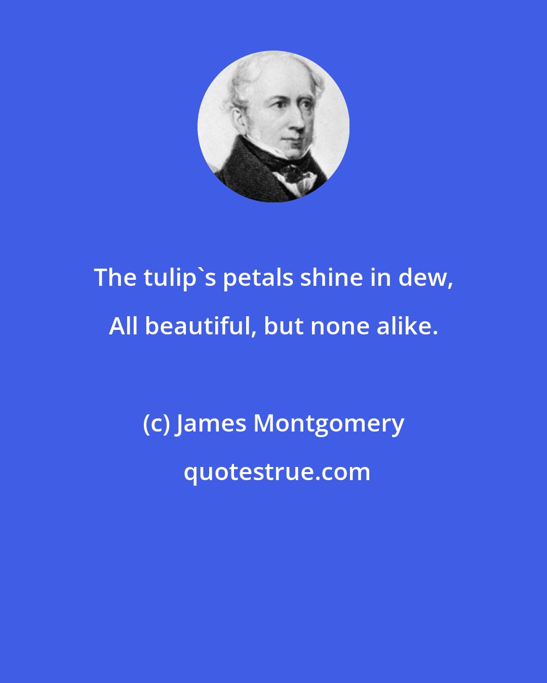 James Montgomery: The tulip's petals shine in dew, All beautiful, but none alike.