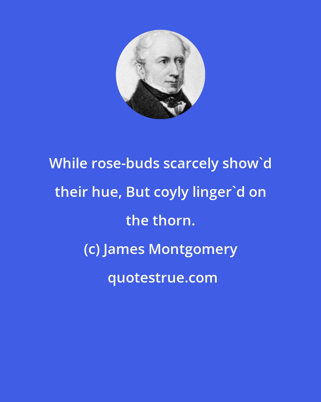 James Montgomery: While rose-buds scarcely show'd their hue, But coyly linger'd on the thorn.