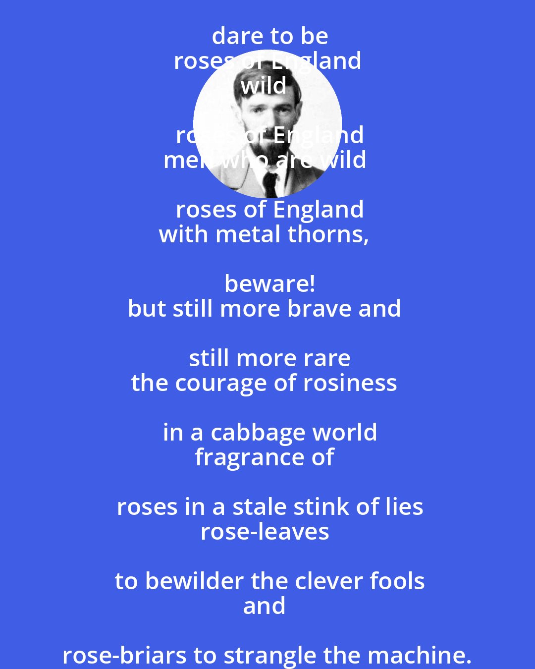 D. H. Lawrence: And still I look for the men who will dare to be
roses of England
wild roses of England
men who are wild roses of England
with metal thorns, beware!
but still more brave and still more rare
the courage of rosiness in a cabbage world
fragrance of roses in a stale stink of lies
rose-leaves to bewilder the clever fools
and rose-briars to strangle the machine.