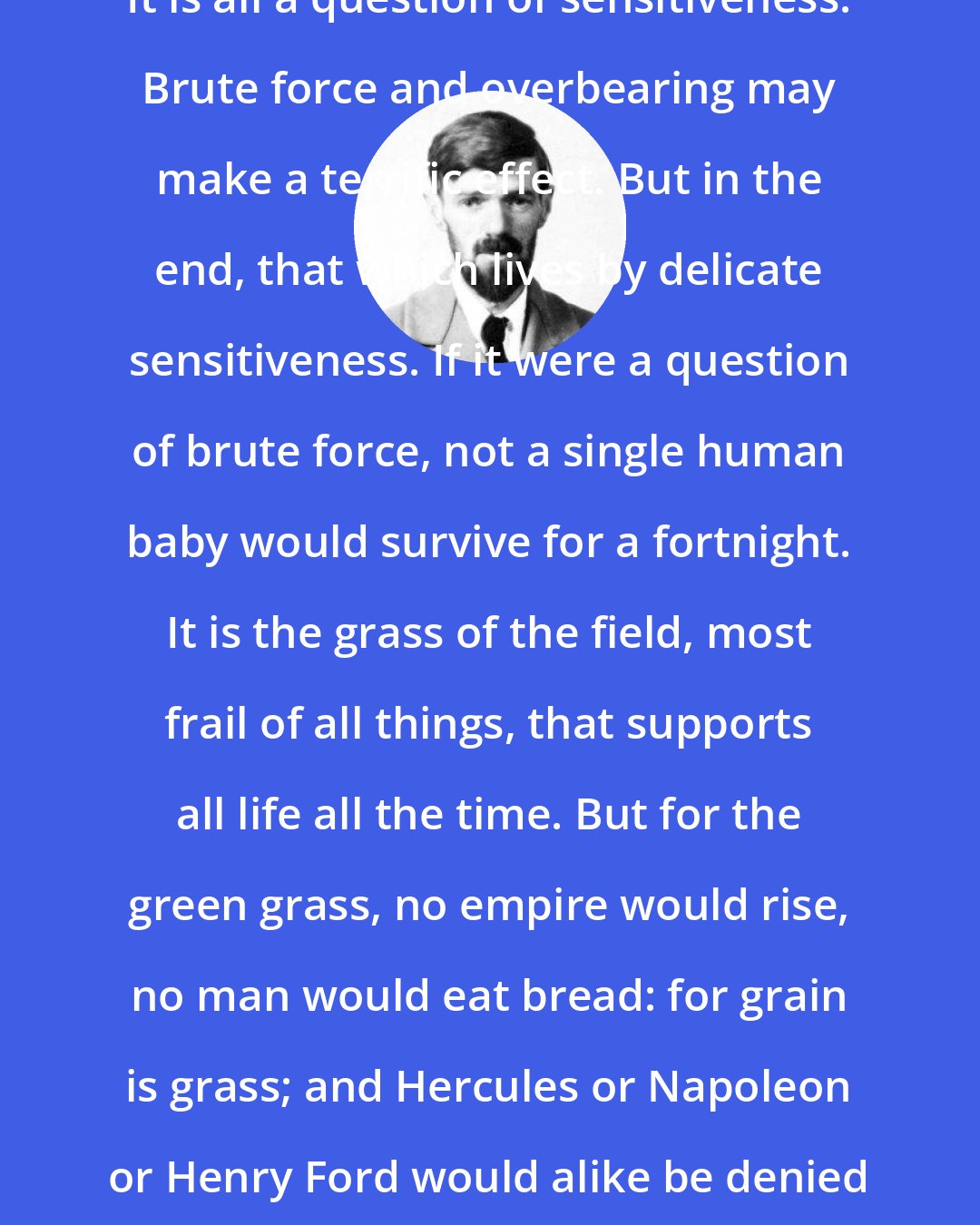 D. H. Lawrence: It is all a question of sensitiveness. Brute force and overbearing may make a terrific effect. But in the end, that which lives by delicate sensitiveness. If it were a question of brute force, not a single human baby would survive for a fortnight. It is the grass of the field, most frail of all things, that supports all life all the time. But for the green grass, no empire would rise, no man would eat bread: for grain is grass; and Hercules or Napoleon or Henry Ford would alike be denied existence.