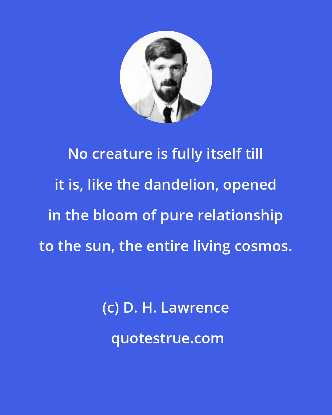 D. H. Lawrence: No creature is fully itself till it is, like the dandelion, opened in the bloom of pure relationship to the sun, the entire living cosmos.