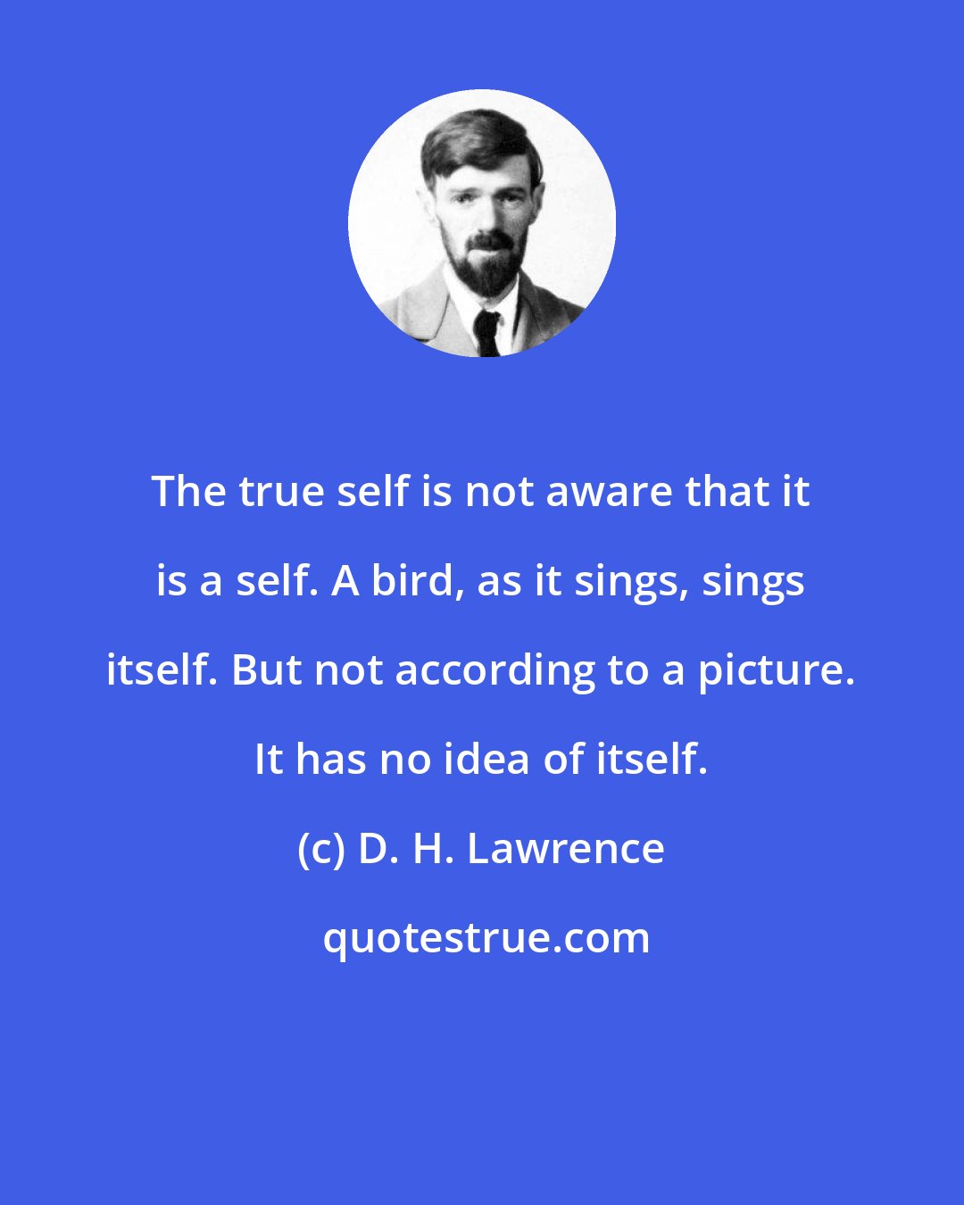 D. H. Lawrence: The true self is not aware that it is a self. A bird, as it sings, sings itself. But not according to a picture. It has no idea of itself.