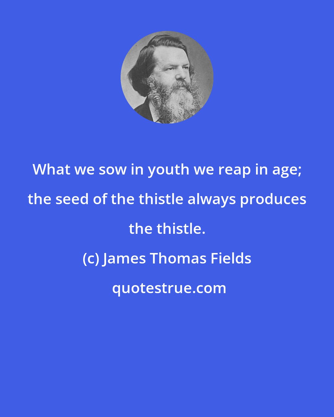 James Thomas Fields: What we sow in youth we reap in age; the seed of the thistle always produces the thistle.