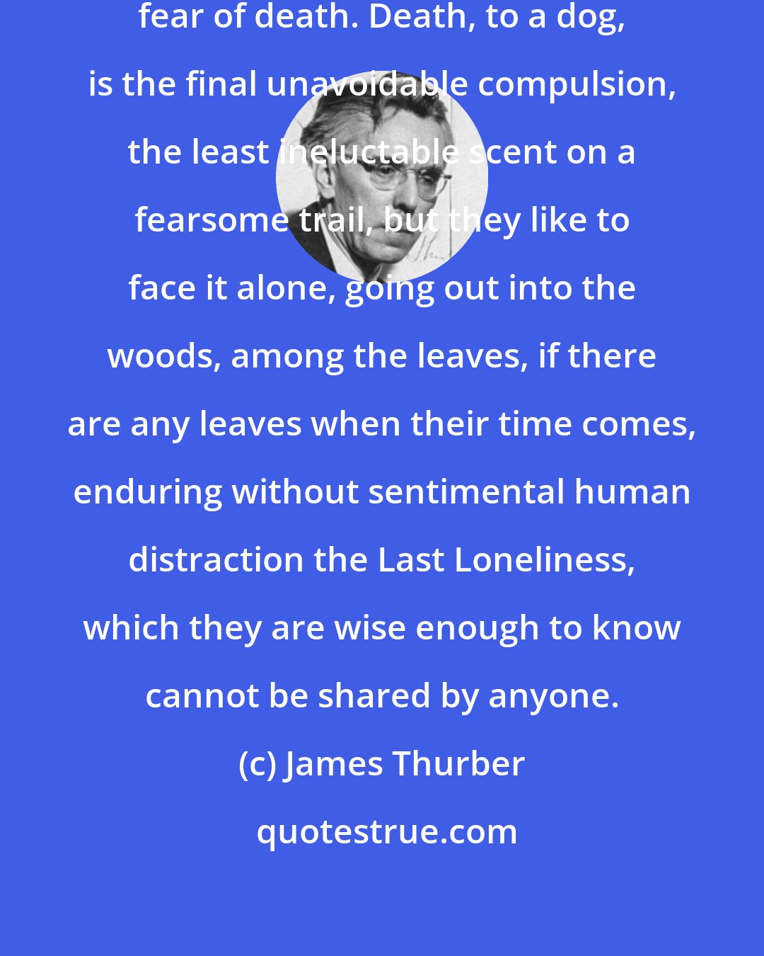 James Thurber: I never had a dog that showed a human fear of death. Death, to a dog, is the final unavoidable compulsion, the least ineluctable scent on a fearsome trail, but they like to face it alone, going out into the woods, among the leaves, if there are any leaves when their time comes, enduring without sentimental human distraction the Last Loneliness, which they are wise enough to know cannot be shared by anyone.