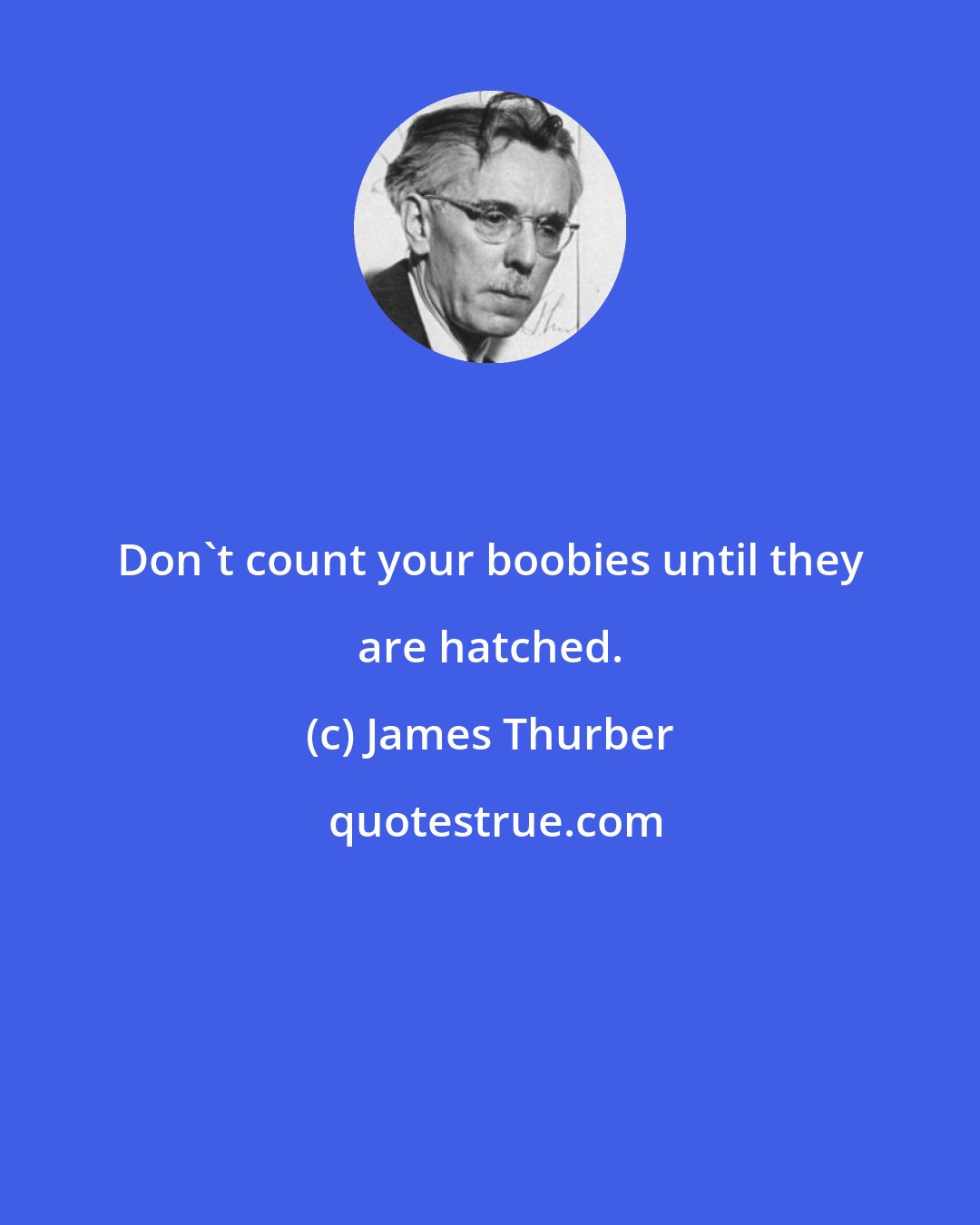 James Thurber: Don't count your boobies until they are hatched.