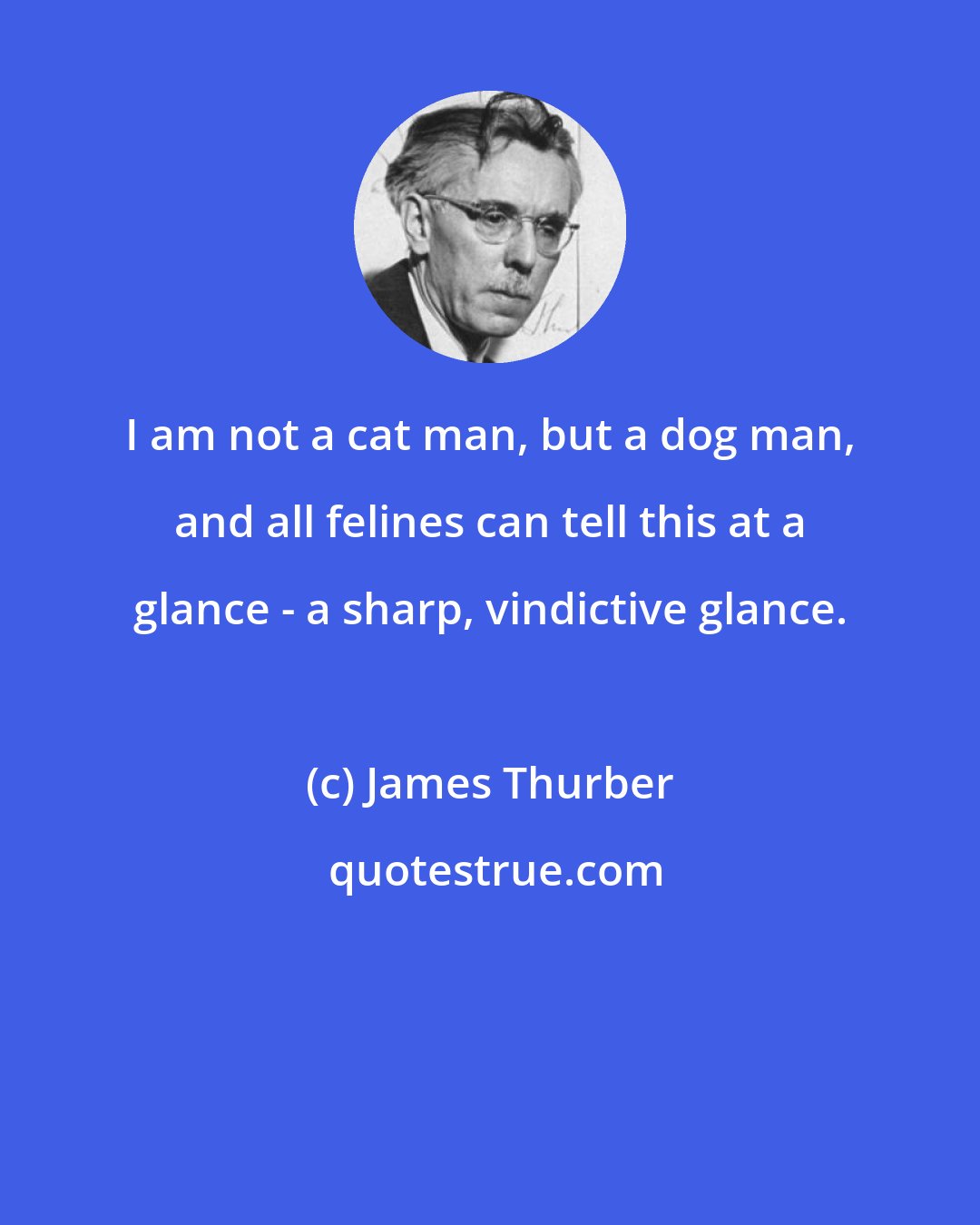 James Thurber: I am not a cat man, but a dog man, and all felines can tell this at a glance - a sharp, vindictive glance.