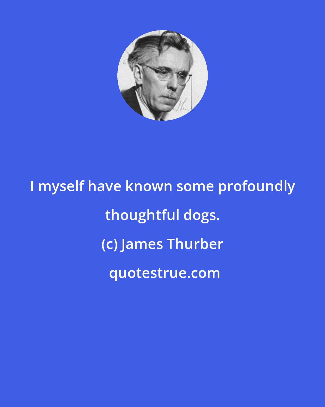 James Thurber: I myself have known some profoundly thoughtful dogs.