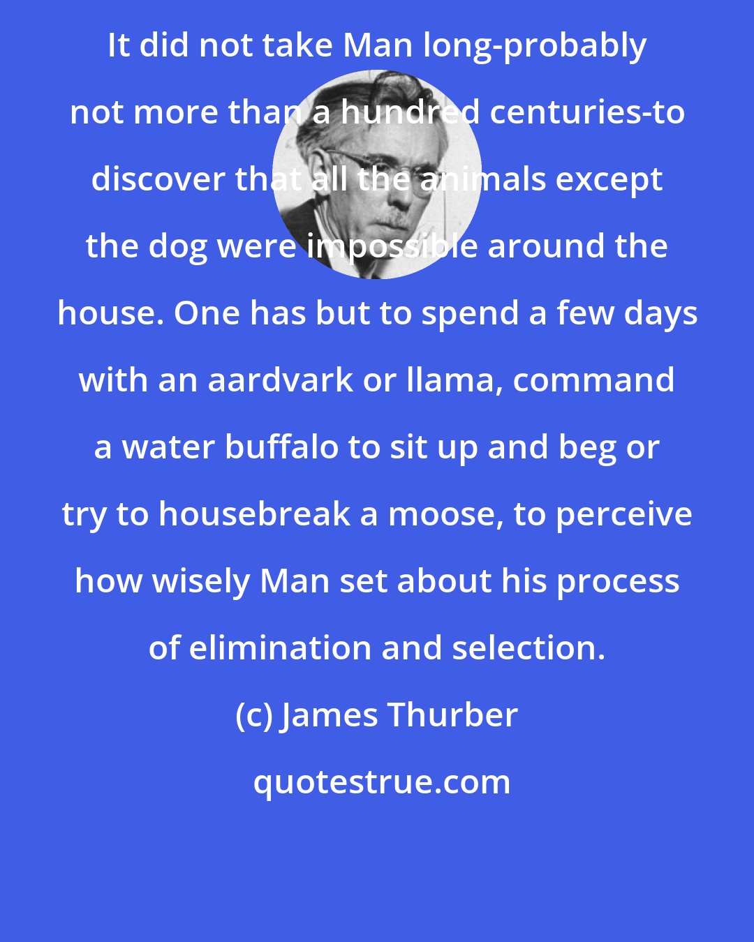 James Thurber: It did not take Man long-probably not more than a hundred centuries-to discover that all the animals except the dog were impossible around the house. One has but to spend a few days with an aardvark or llama, command a water buffalo to sit up and beg or try to housebreak a moose, to perceive how wisely Man set about his process of elimination and selection.