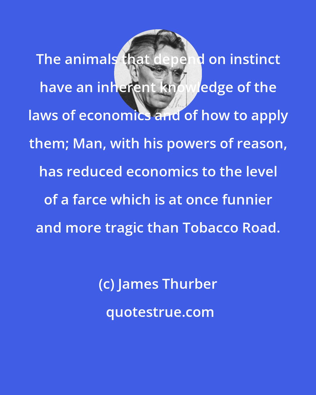 James Thurber: The animals that depend on instinct have an inherent knowledge of the laws of economics and of how to apply them; Man, with his powers of reason, has reduced economics to the level of a farce which is at once funnier and more tragic than Tobacco Road.