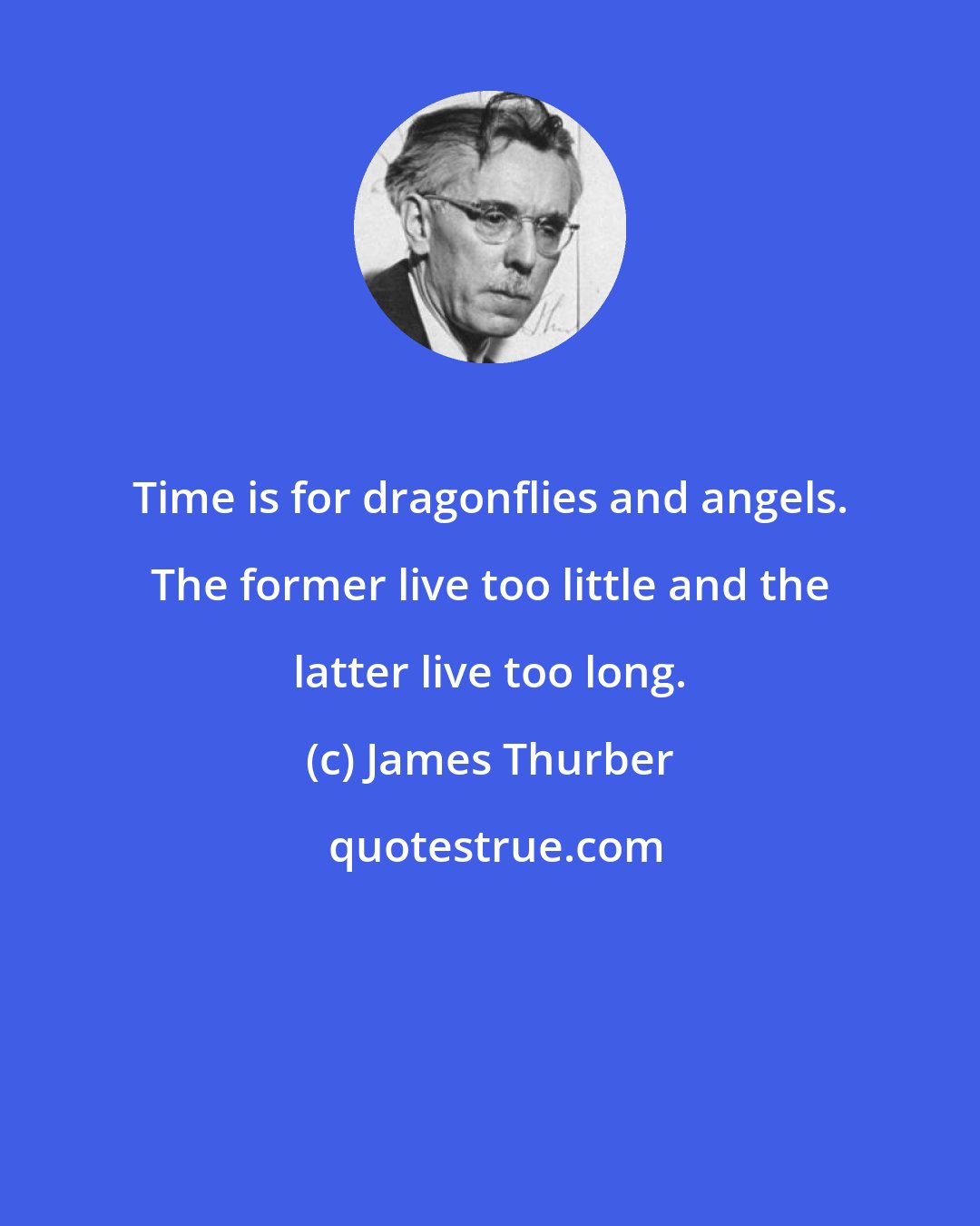 James Thurber: Time is for dragonflies and angels. The former live too little and the latter live too long.