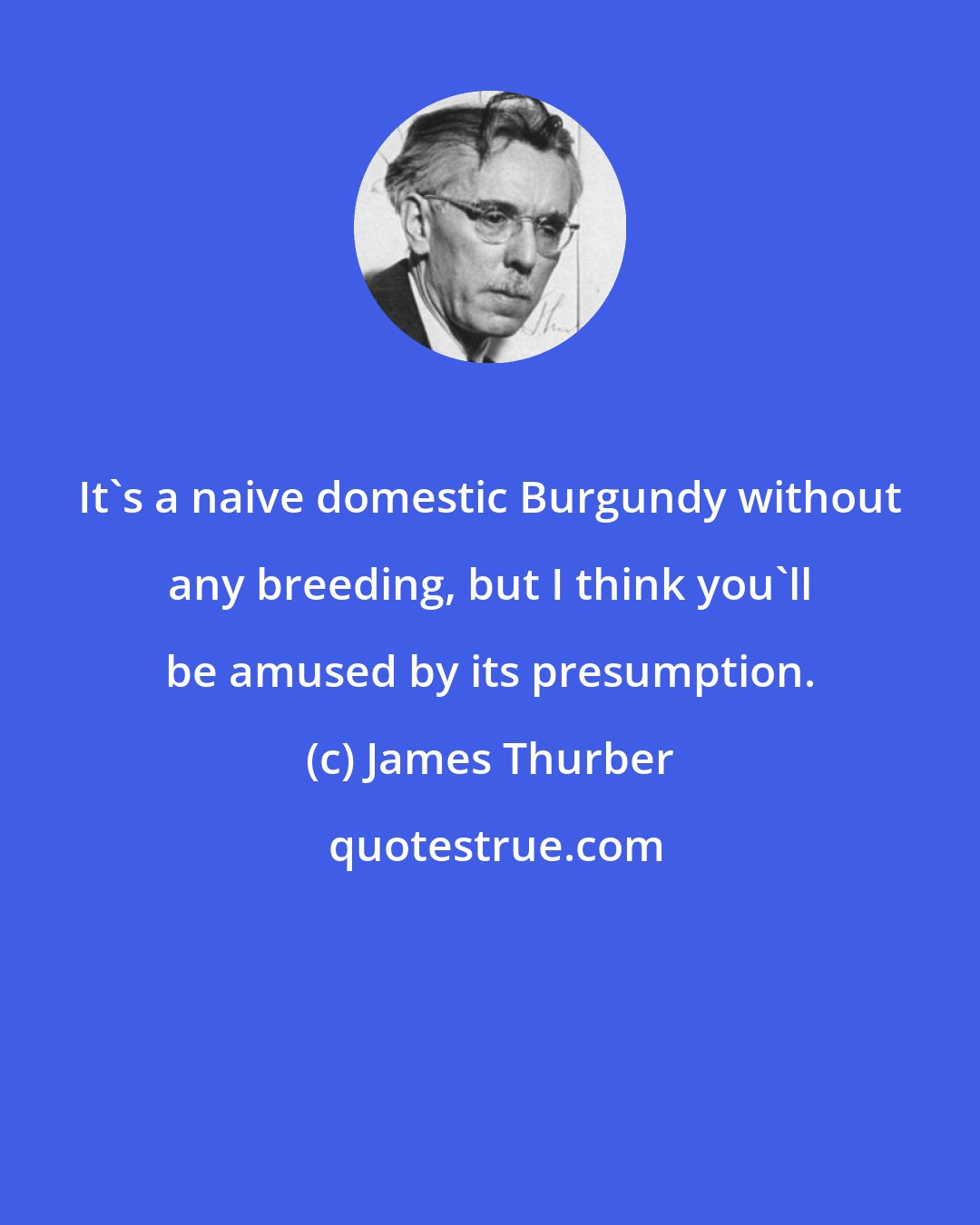 James Thurber: It's a naive domestic Burgundy without any breeding, but I think you'll be amused by its presumption.