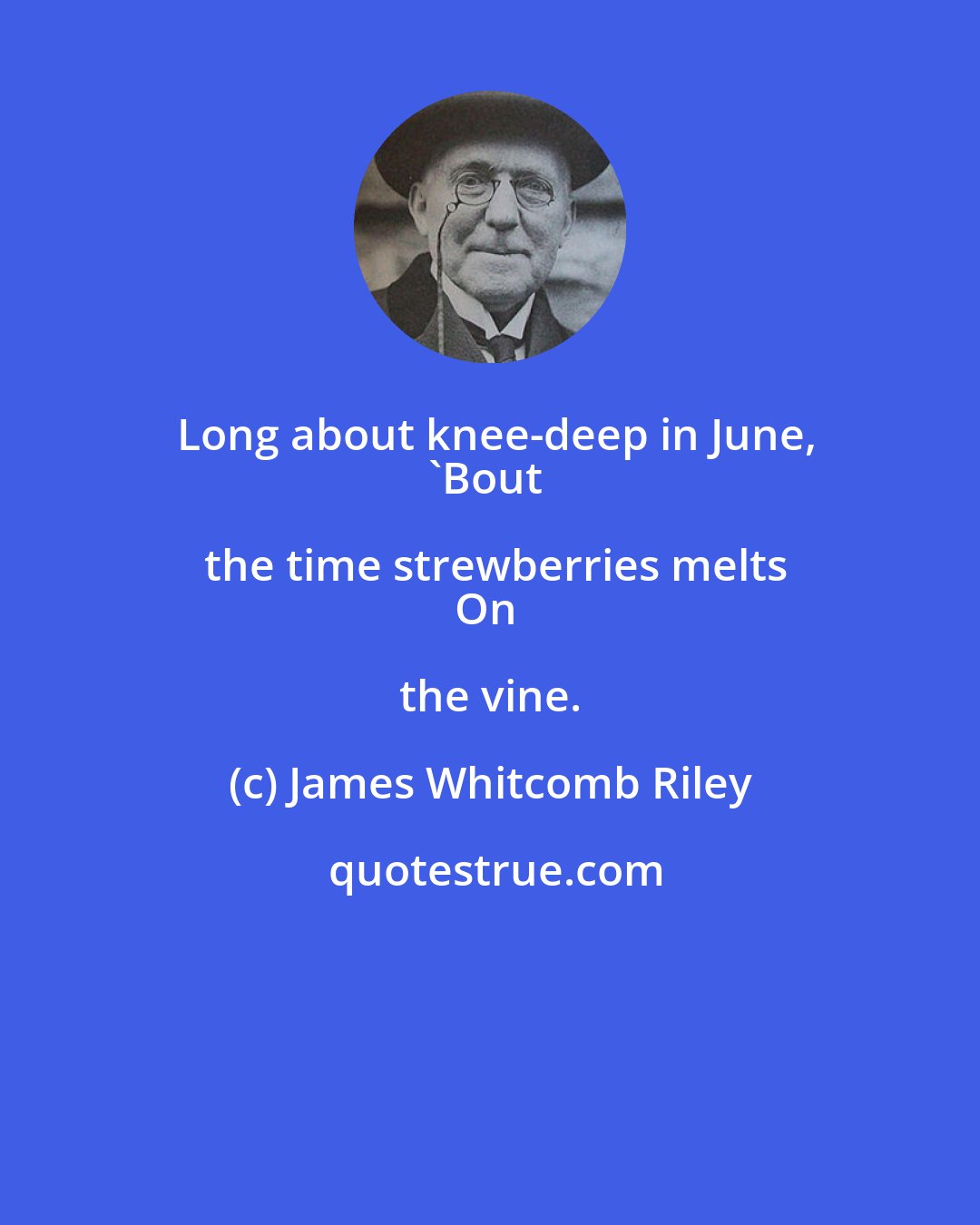 James Whitcomb Riley: Long about knee-deep in June,
'Bout the time strewberries melts
On the vine.