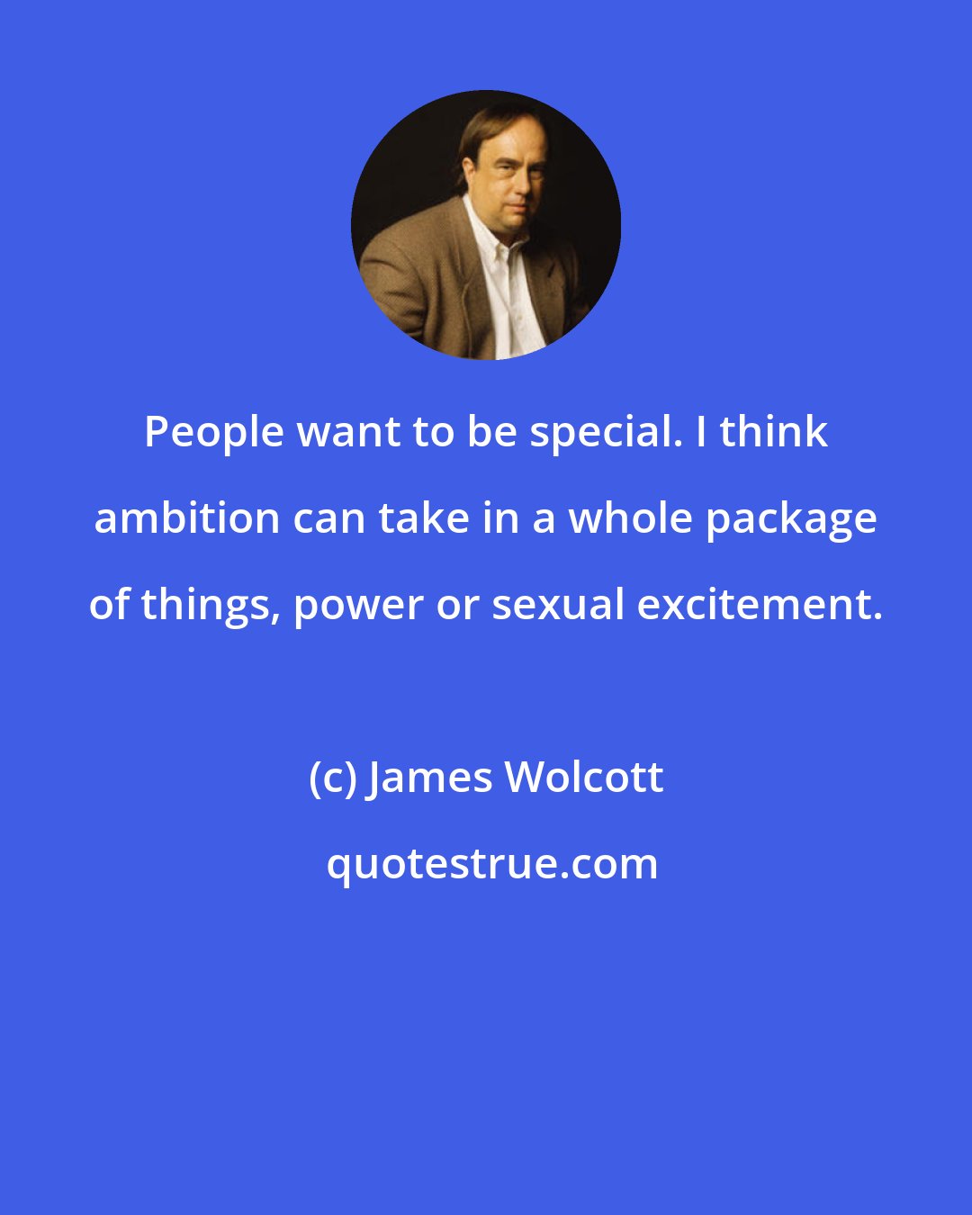 James Wolcott: People want to be special. I think ambition can take in a whole package of things, power or sexual excitement.