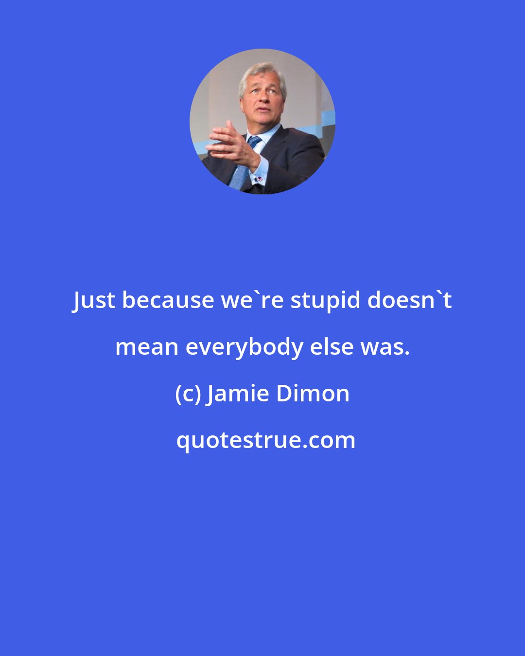 Jamie Dimon: Just because we're stupid doesn't mean everybody else was.