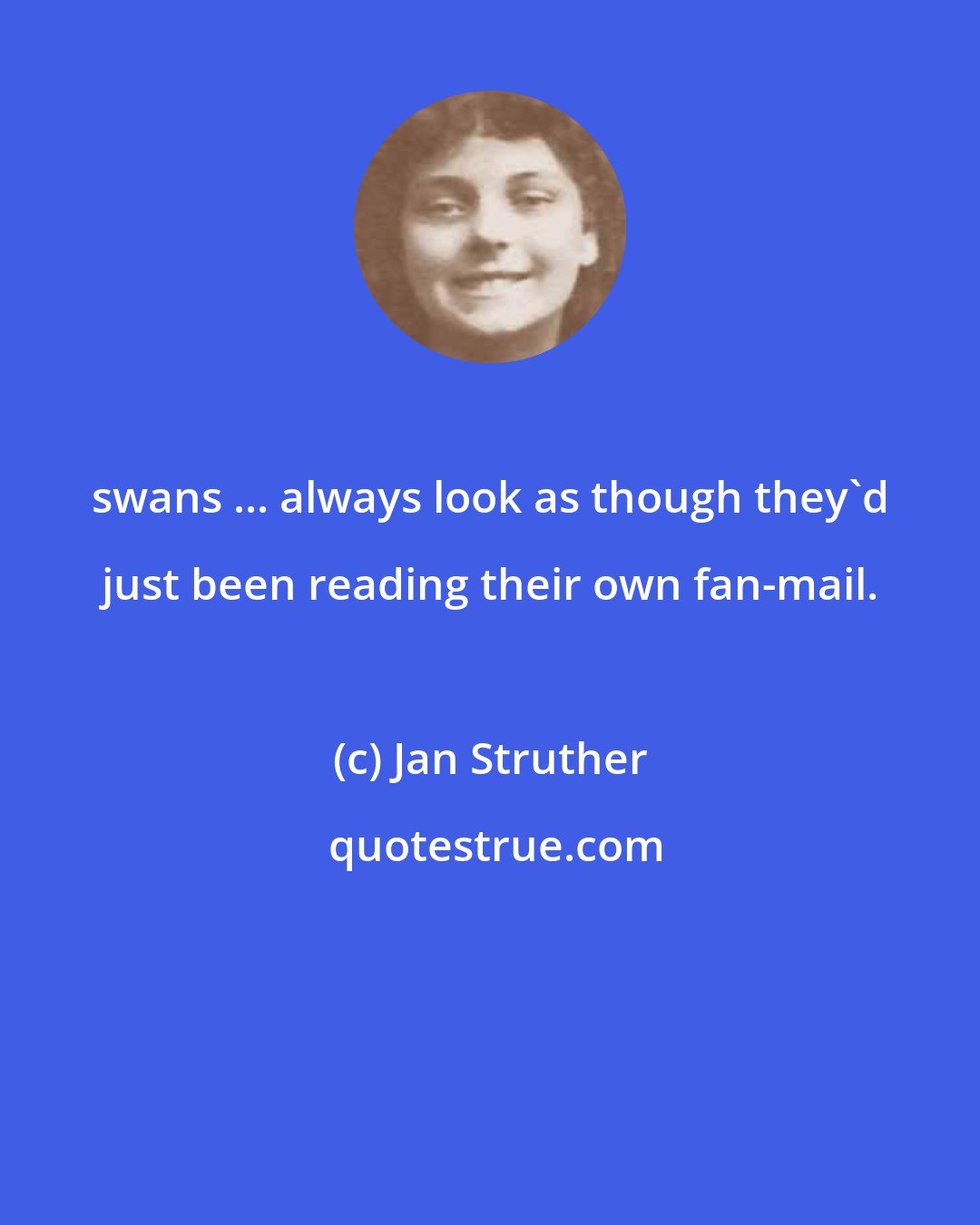 Jan Struther: swans ... always look as though they'd just been reading their own fan-mail.