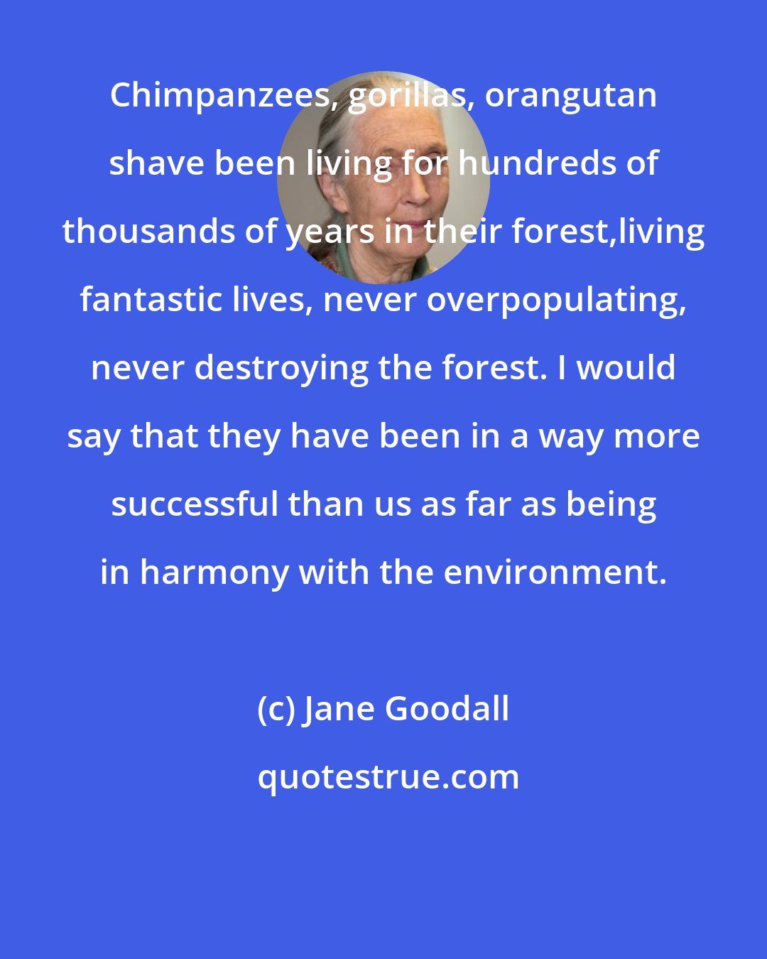 Jane Goodall: Chimpanzees, gorillas, orangutan shave been living for hundreds of thousands of years in their forest,living fantastic lives, never overpopulating, never destroying the forest. I would say that they have been in a way more successful than us as far as being in harmony with the environment.