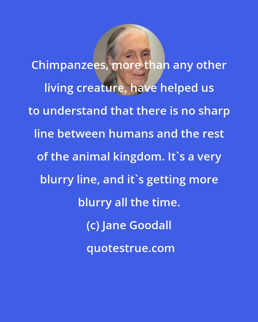 Jane Goodall: Chimpanzees, more than any other living creature, have helped us to understand that there is no sharp line between humans and the rest of the animal kingdom. It's a very blurry line, and it's getting more blurry all the time.