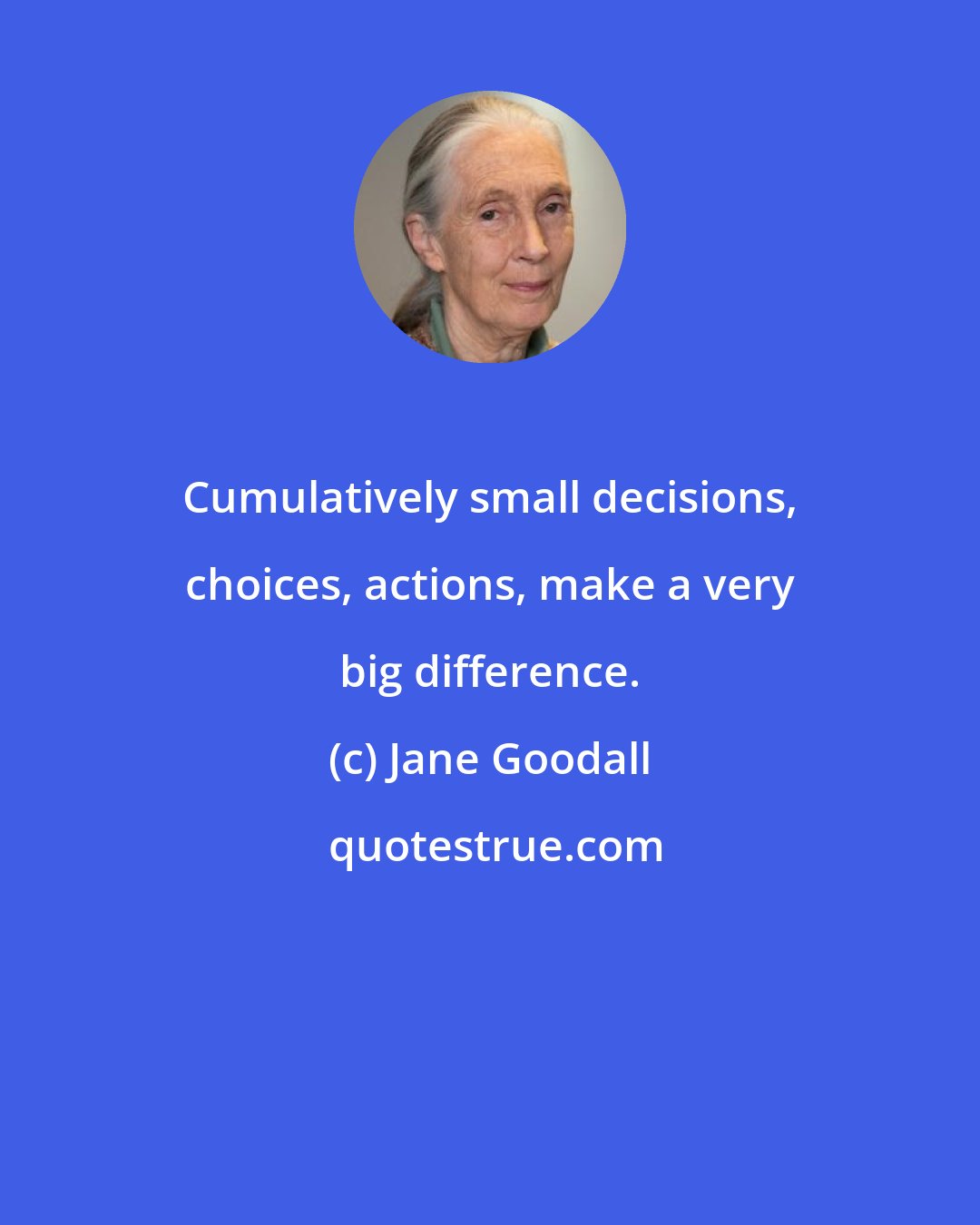 Jane Goodall: Cumulatively small decisions, choices, actions, make a very big difference.