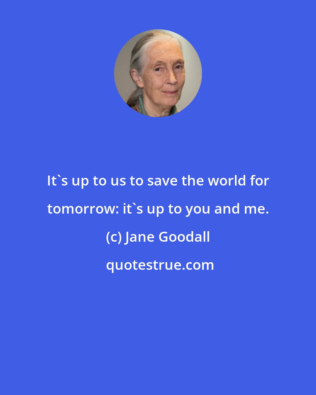 Jane Goodall: It's up to us to save the world for tomorrow: it's up to you and me.