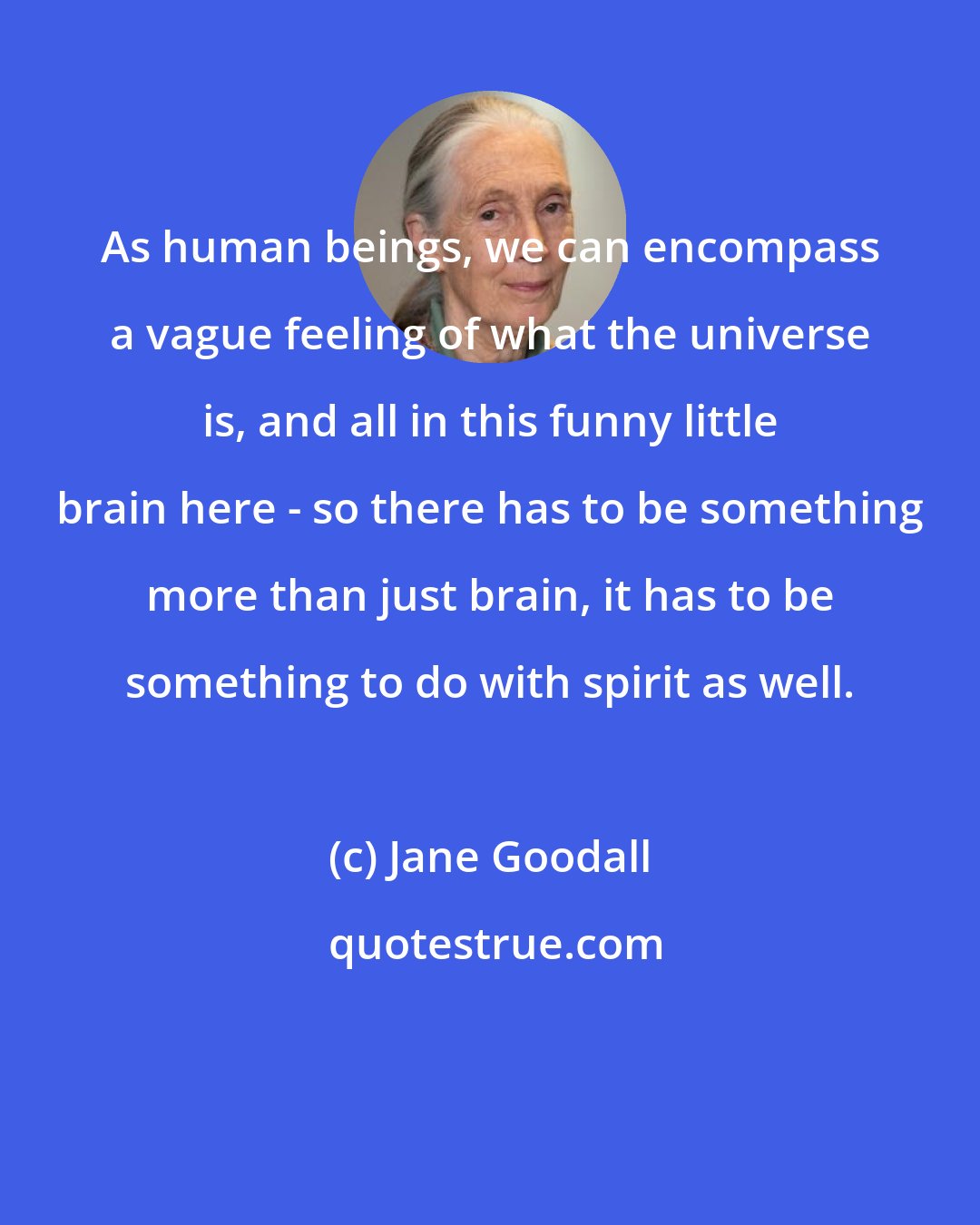 Jane Goodall: As human beings, we can encompass a vague feeling of what the universe is, and all in this funny little brain here - so there has to be something more than just brain, it has to be something to do with spirit as well.