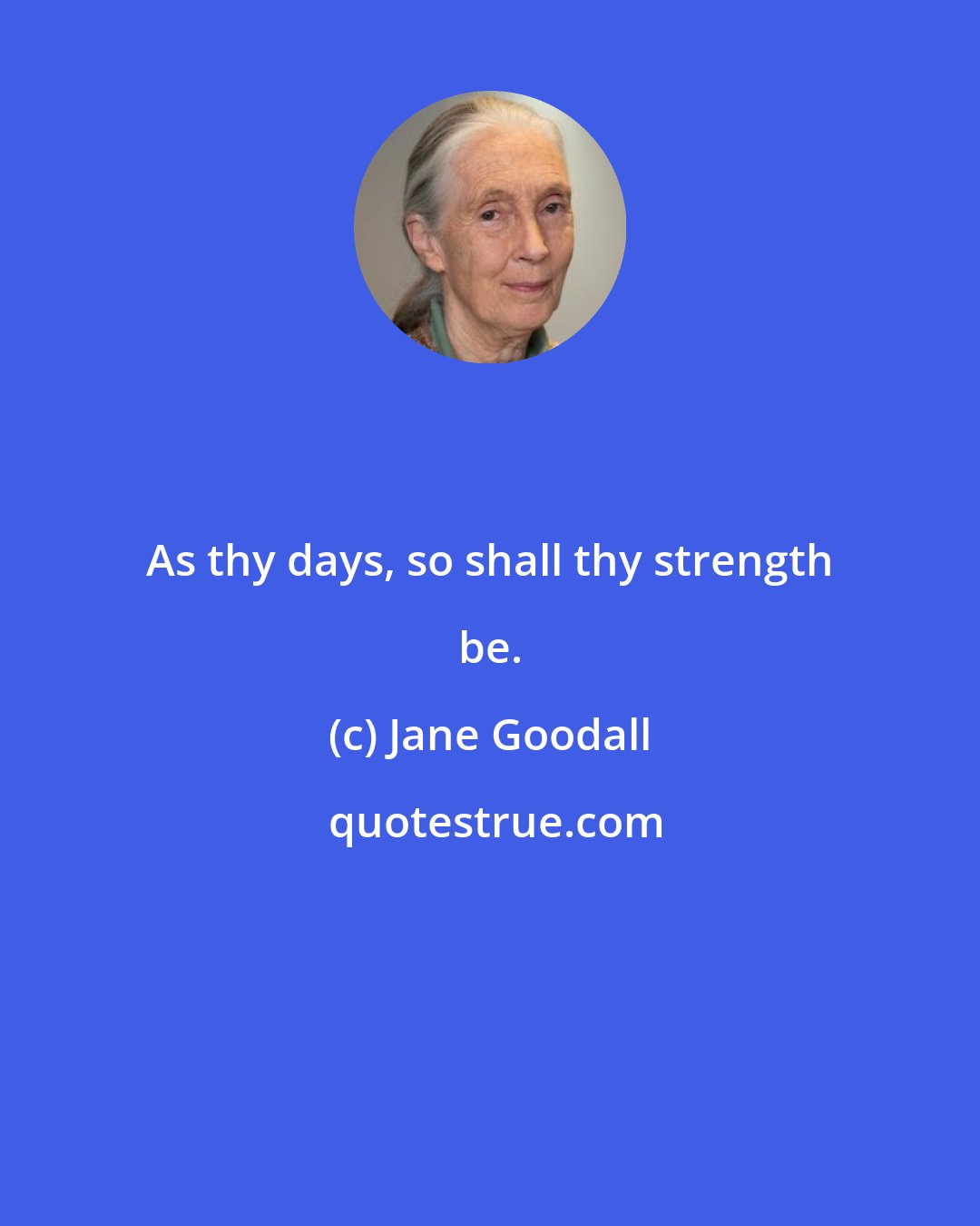 Jane Goodall: As thy days, so shall thy strength be.