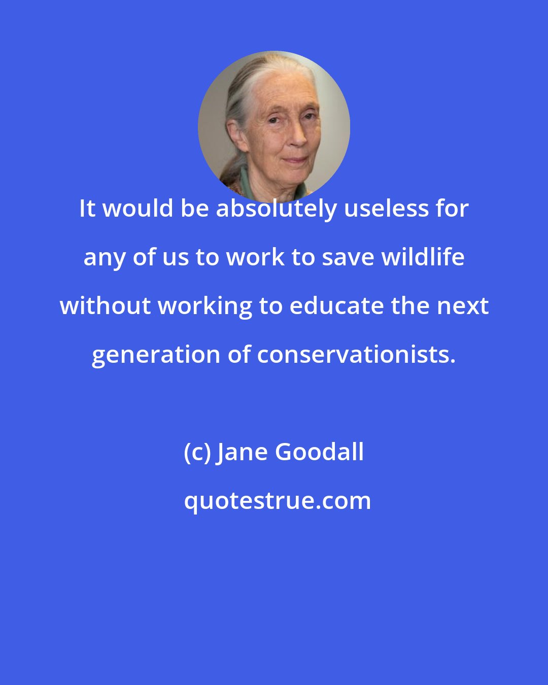 Jane Goodall: It would be absolutely useless for any of us to work to save wildlife without working to educate the next generation of conservationists.