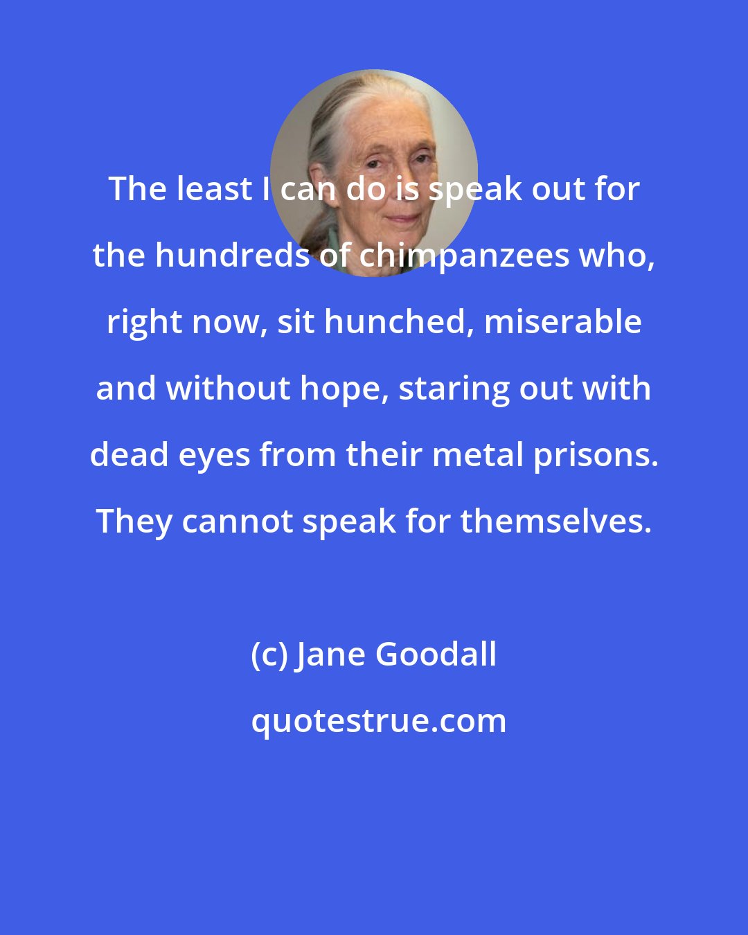 Jane Goodall: The least I can do is speak out for the hundreds of chimpanzees who, right now, sit hunched, miserable and without hope, staring out with dead eyes from their metal prisons. They cannot speak for themselves.