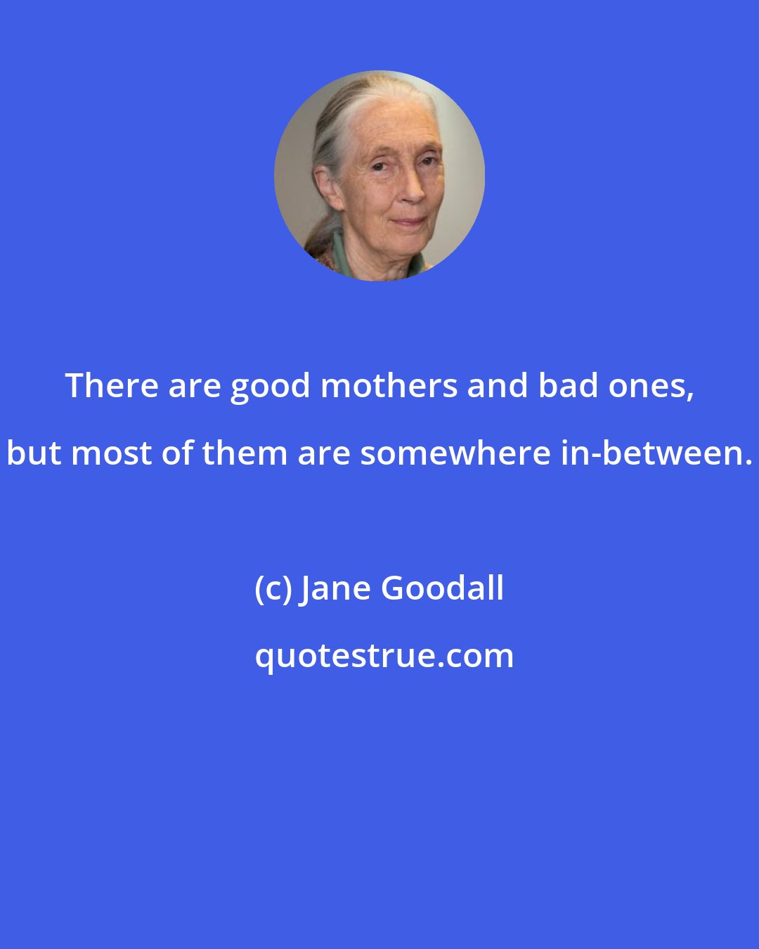 Jane Goodall: There are good mothers and bad ones, but most of them are somewhere in-between.