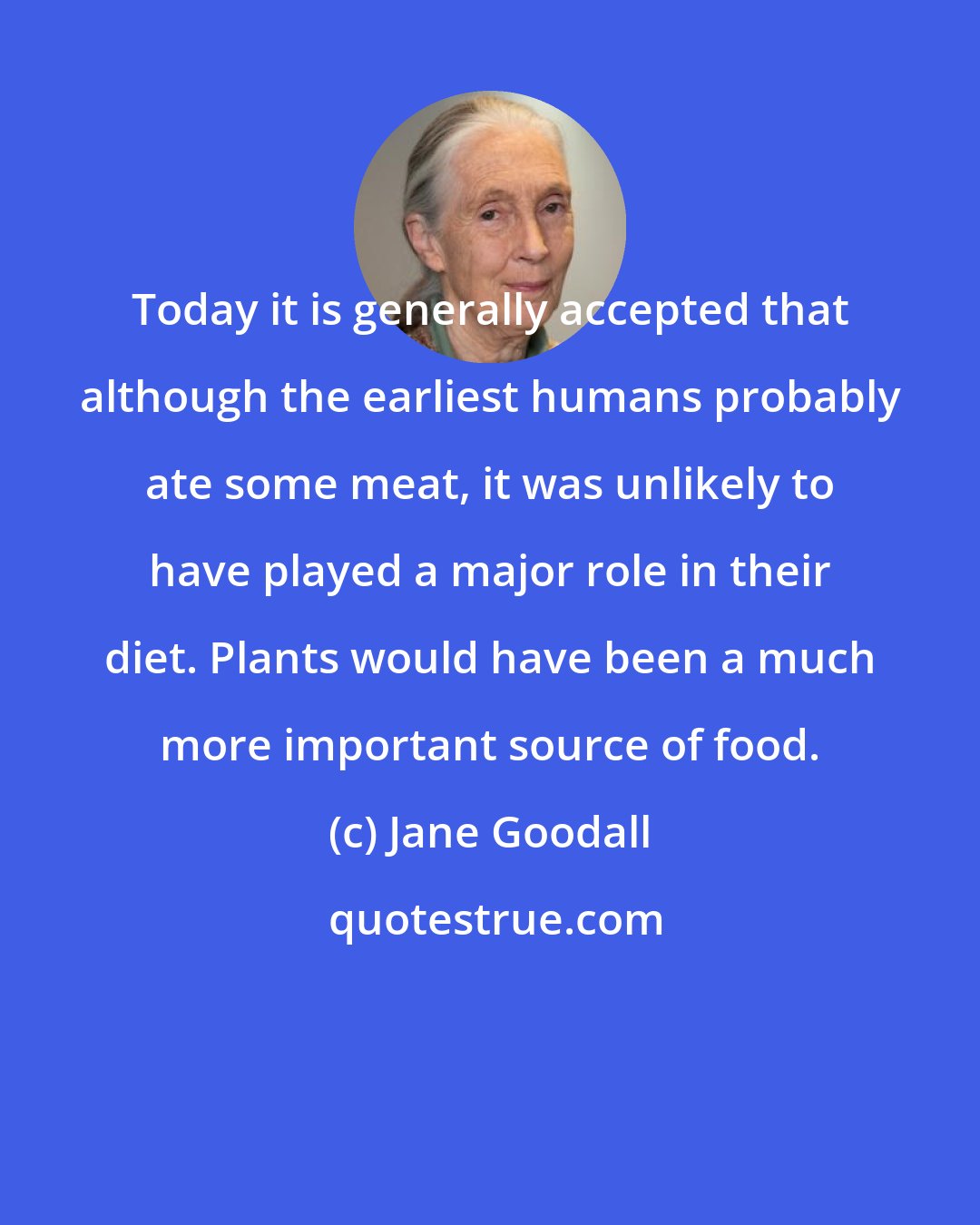 Jane Goodall: Today it is generally accepted that although the earliest humans probably ate some meat, it was unlikely to have played a major role in their diet. Plants would have been a much more important source of food.