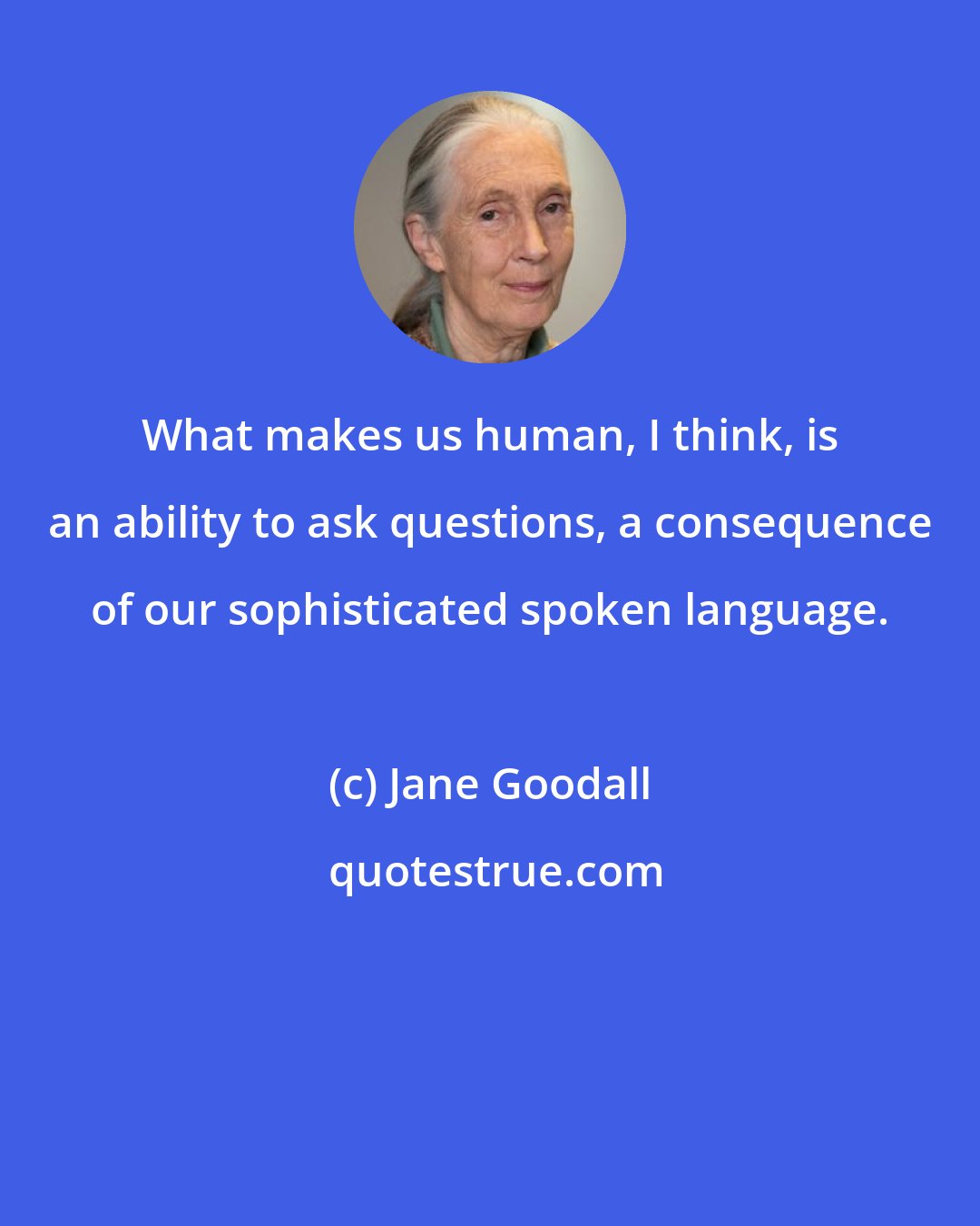 Jane Goodall: What makes us human, I think, is an ability to ask questions, a consequence of our sophisticated spoken language.