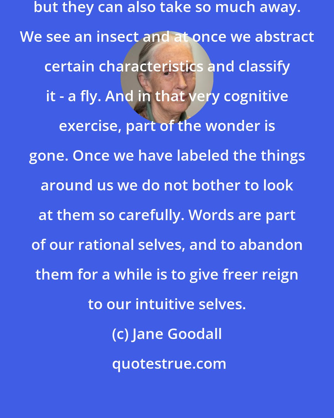 Jane Goodall: Words can enhance experience, but they can also take so much away. We see an insect and at once we abstract certain characteristics and classify it - a fly. And in that very cognitive exercise, part of the wonder is gone. Once we have labeled the things around us we do not bother to look at them so carefully. Words are part of our rational selves, and to abandon them for a while is to give freer reign to our intuitive selves.