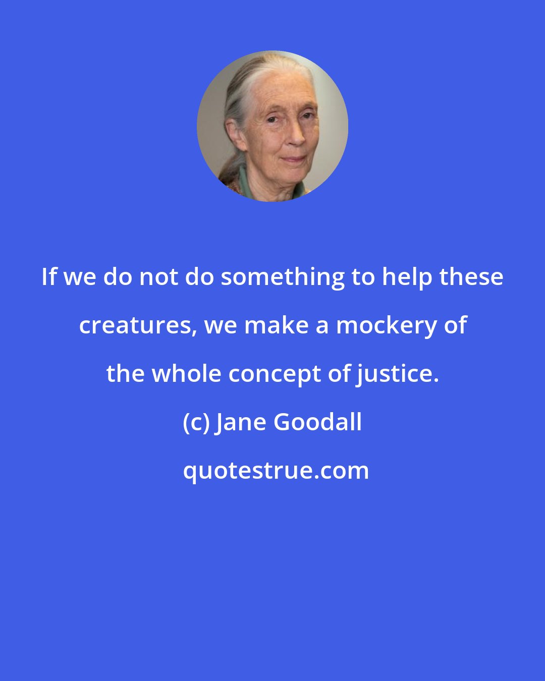 Jane Goodall: If we do not do something to help these creatures, we make a mockery of the whole concept of justice.