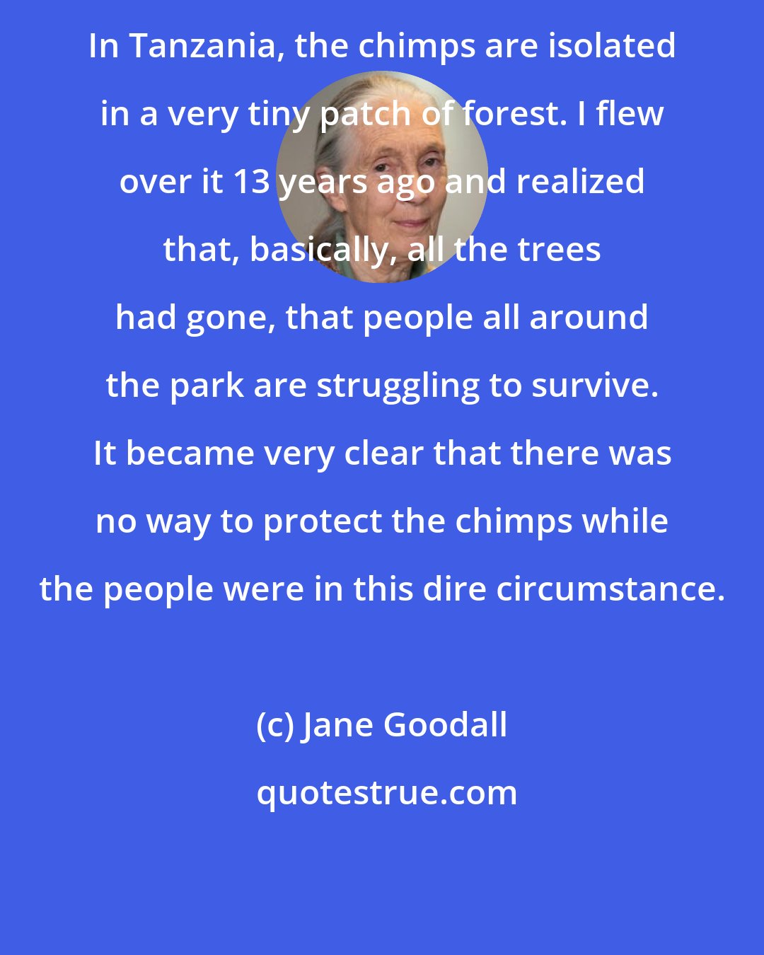 Jane Goodall: In Tanzania, the chimps are isolated in a very tiny patch of forest. I flew over it 13 years ago and realized that, basically, all the trees had gone, that people all around the park are struggling to survive. It became very clear that there was no way to protect the chimps while the people were in this dire circumstance.