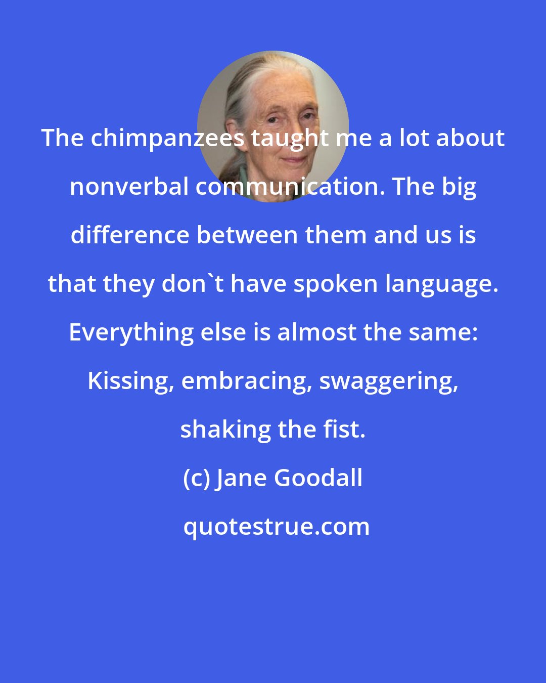 Jane Goodall: The chimpanzees taught me a lot about nonverbal communication. The big difference between them and us is that they don't have spoken language. Everything else is almost the same: Kissing, embracing, swaggering, shaking the fist.