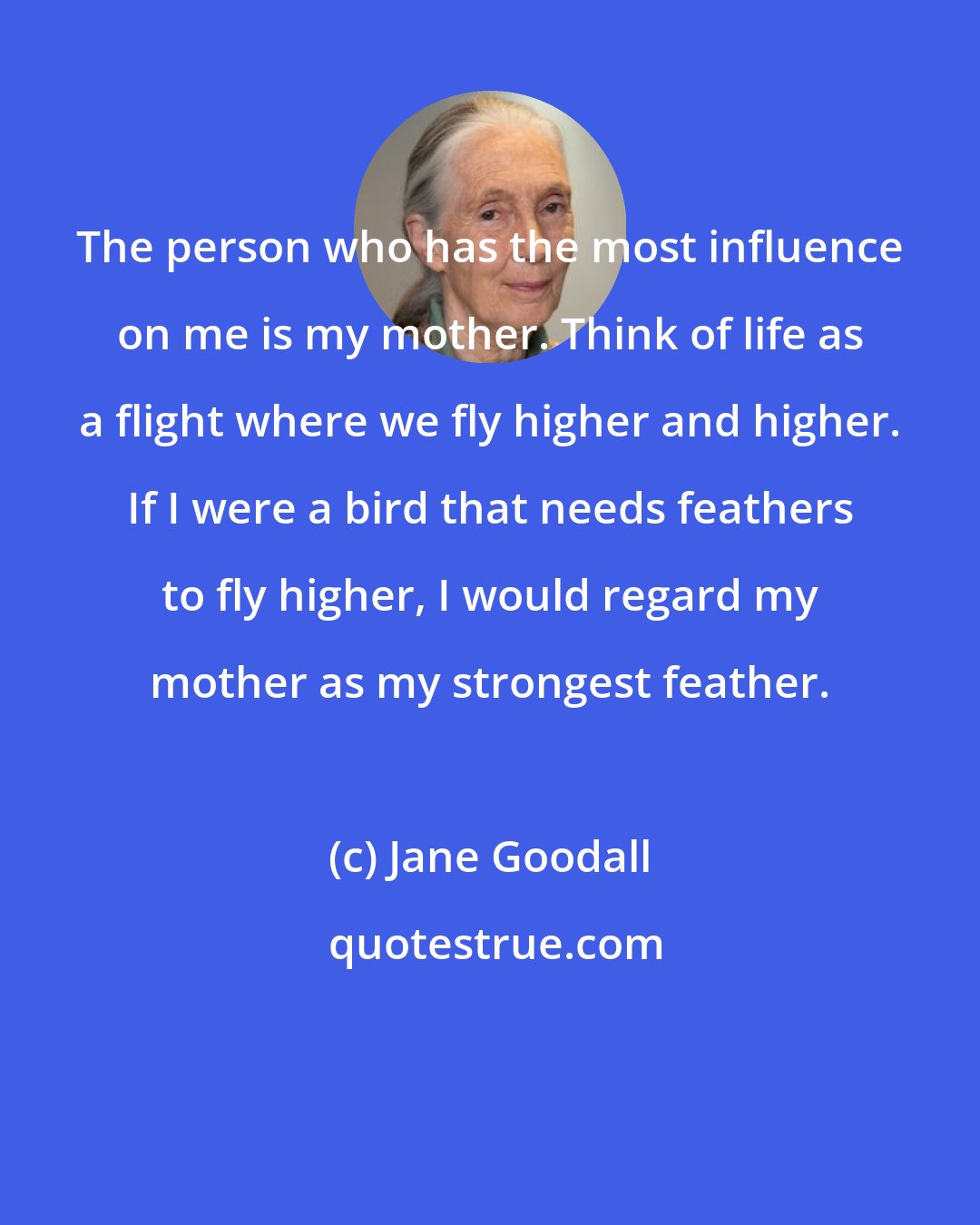 Jane Goodall: The person who has the most influence on me is my mother. Think of life as a flight where we fly higher and higher. If I were a bird that needs feathers to fly higher, I would regard my mother as my strongest feather.