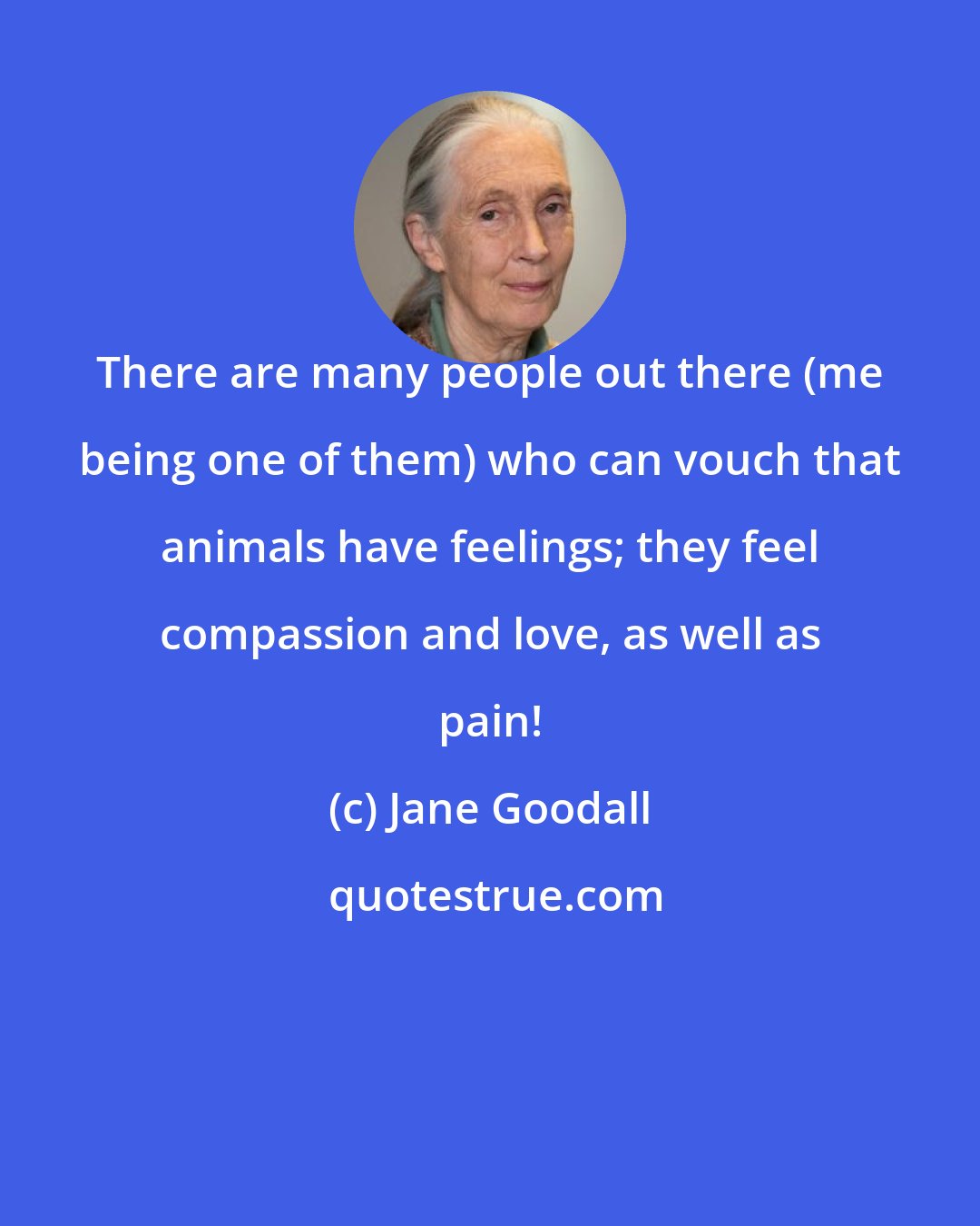 Jane Goodall: There are many people out there (me being one of them) who can vouch that animals have feelings; they feel compassion and love, as well as pain!