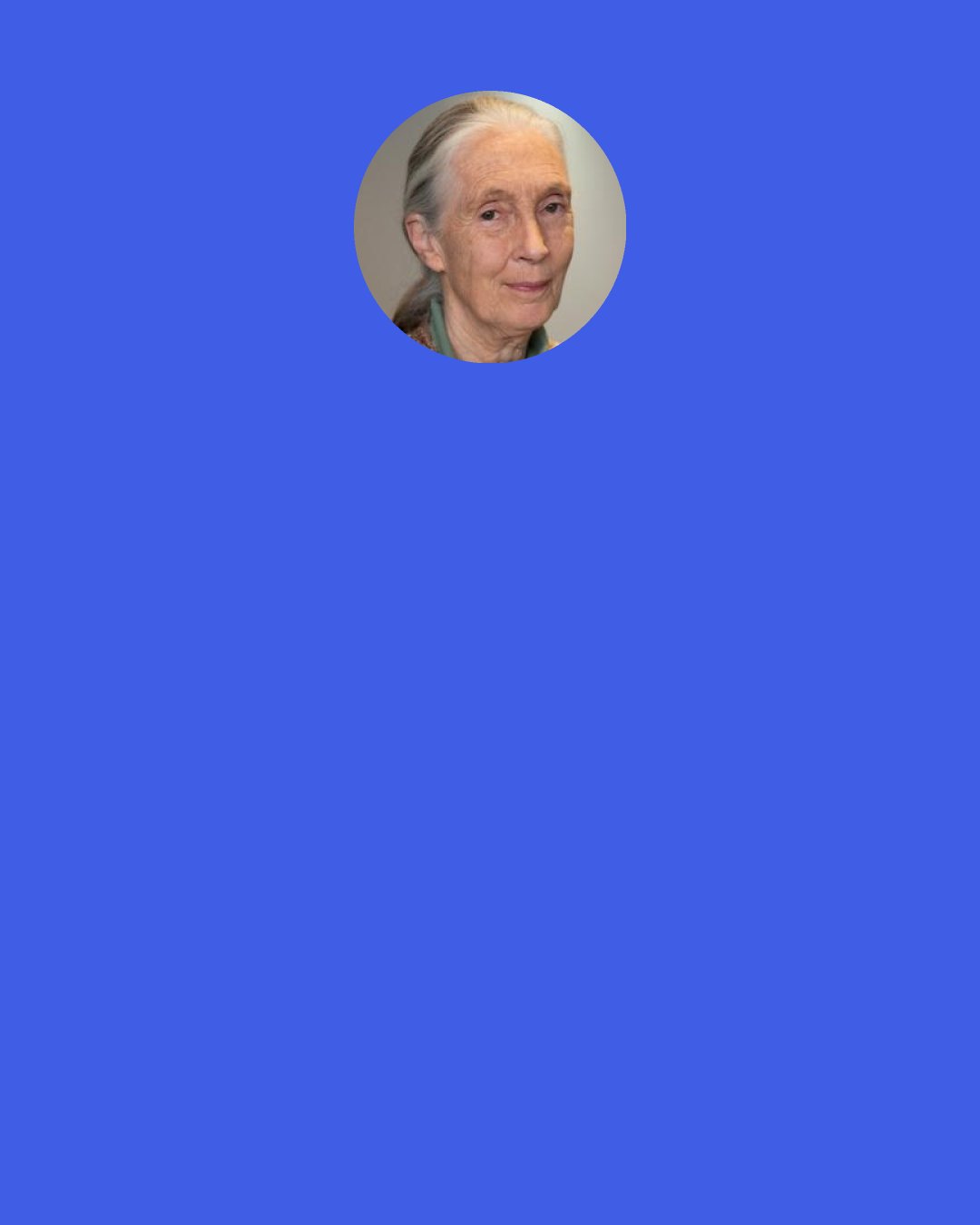 Jane Goodall: They used to ask: "How will this decision that we make today affect our people in the future?" Now we make decisions based on: "How does it affect me, now? How does it affect the next shareholders meeting, three months ahead? How does it affect my next political campaign?"