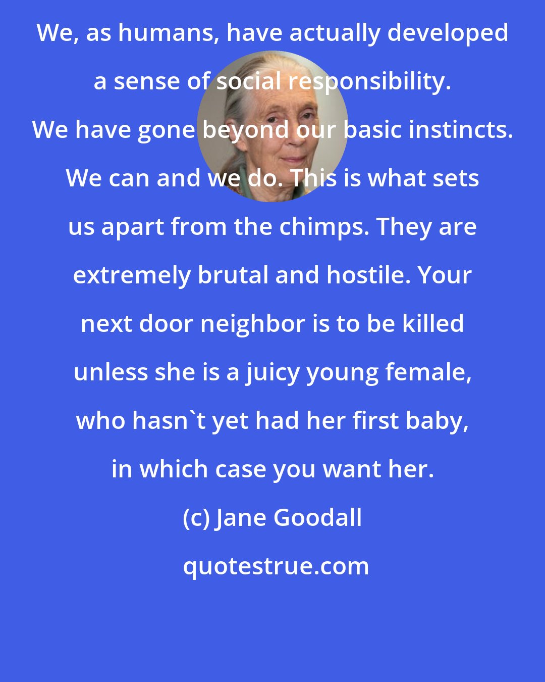 Jane Goodall: We, as humans, have actually developed a sense of social responsibility. We have gone beyond our basic instincts. We can and we do. This is what sets us apart from the chimps. They are extremely brutal and hostile. Your next door neighbor is to be killed unless she is a juicy young female, who hasn't yet had her first baby, in which case you want her.